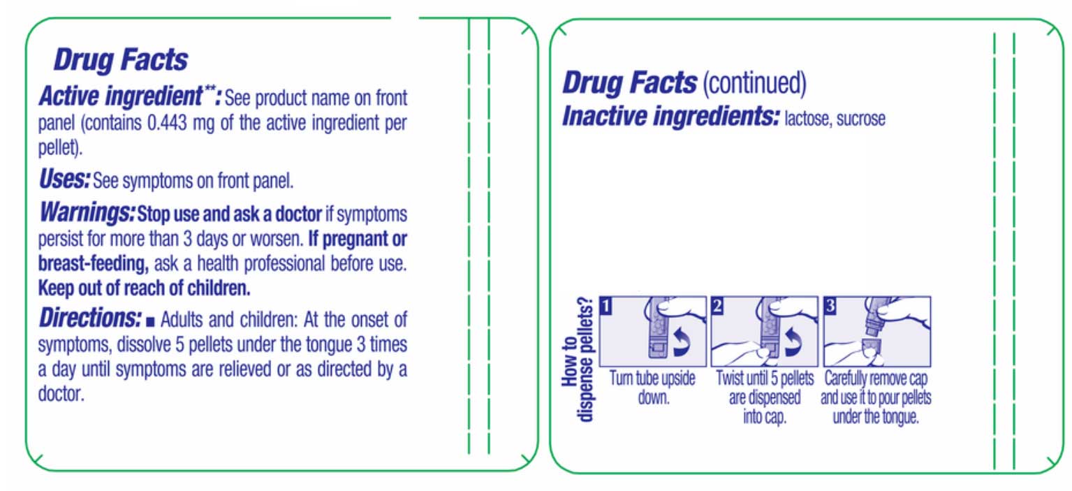 Boiron Homeopathics Berberis Vulgaris Ingredients
