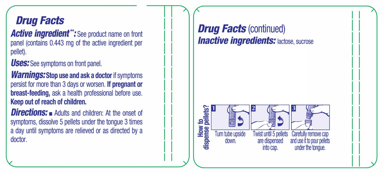 Boiron Homeopathics Cina Ingredients