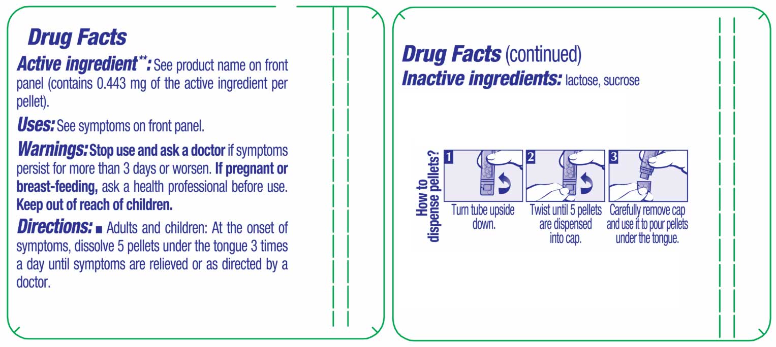 Boiron Homeopathics Rhus Tox Ingredients