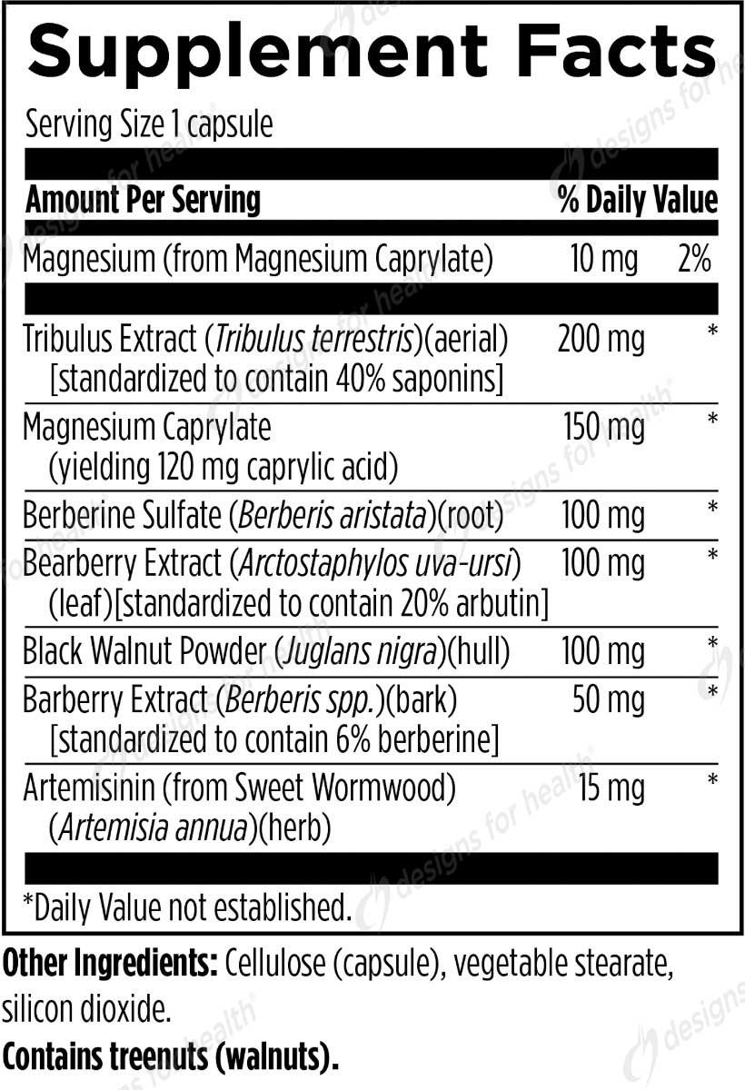 Designs for Health GI Microb-X Ingredients