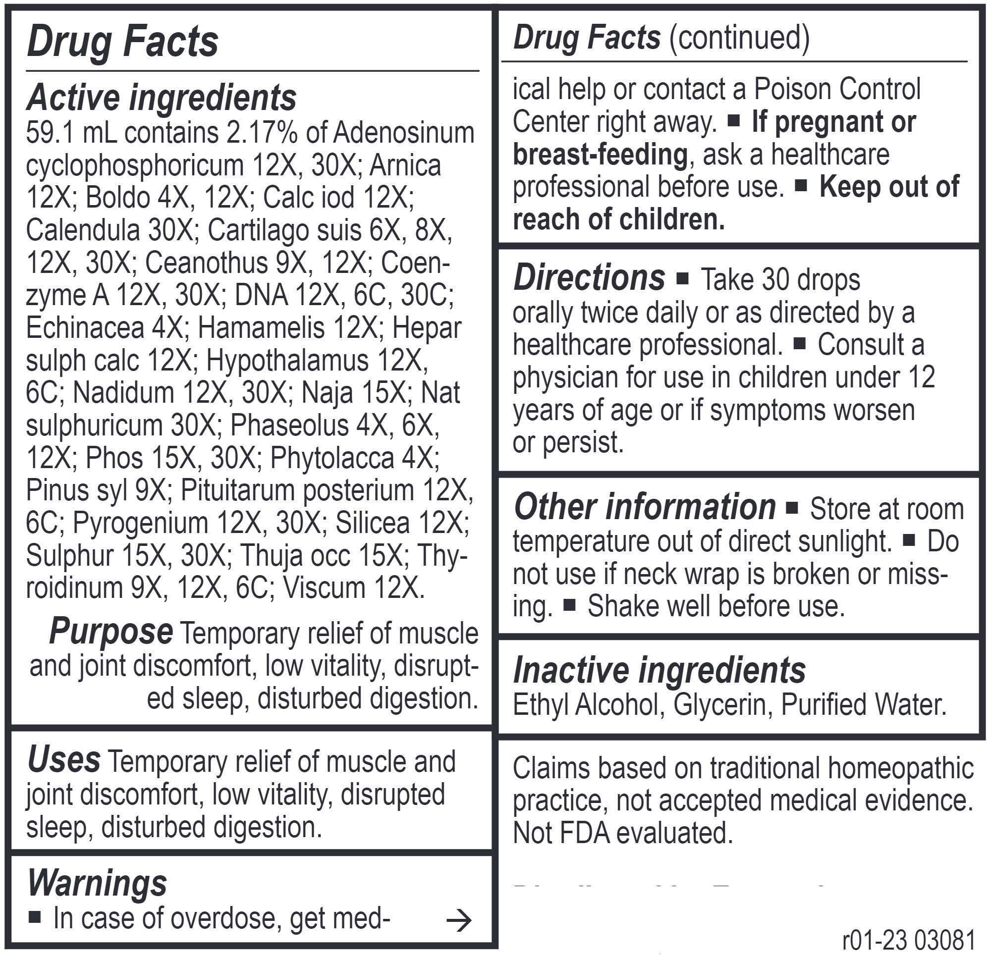 Energetix Lymph-Tone III Ingredients
