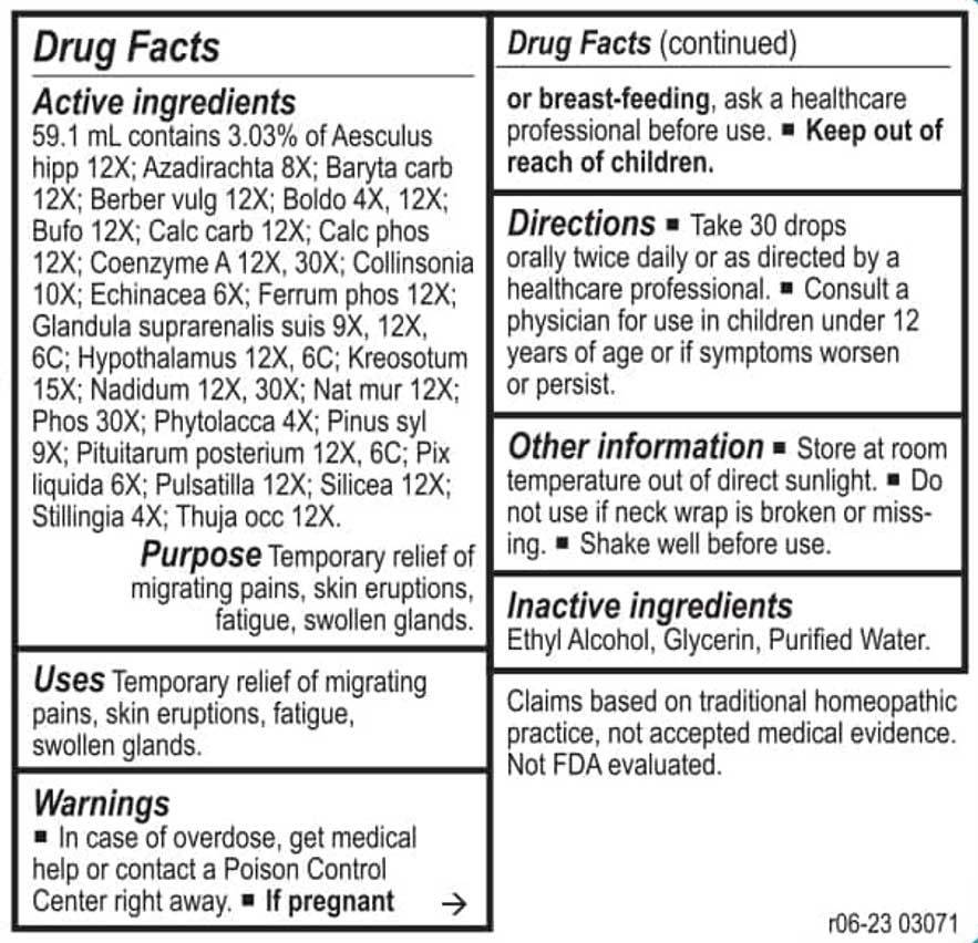 Energetix Lymph-Tone II Ingredients