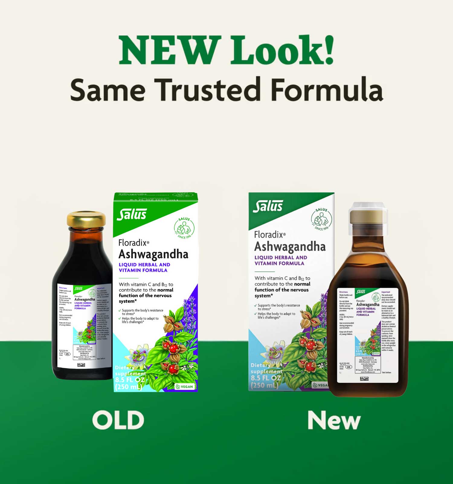 Floradix (Salus) Ashwagandha Liquid New Look