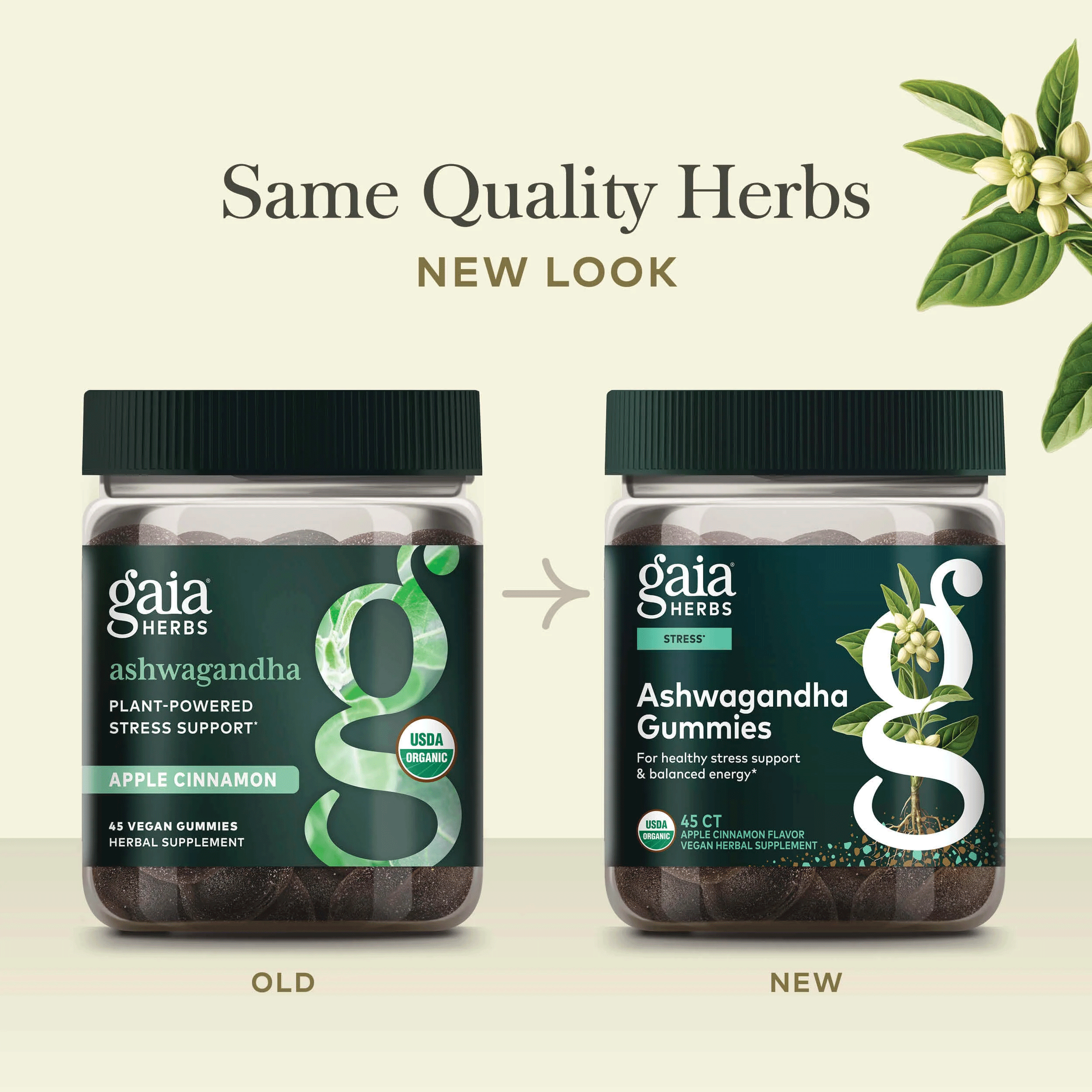 Gaia Herbs Ashwagandha Gummies New Look