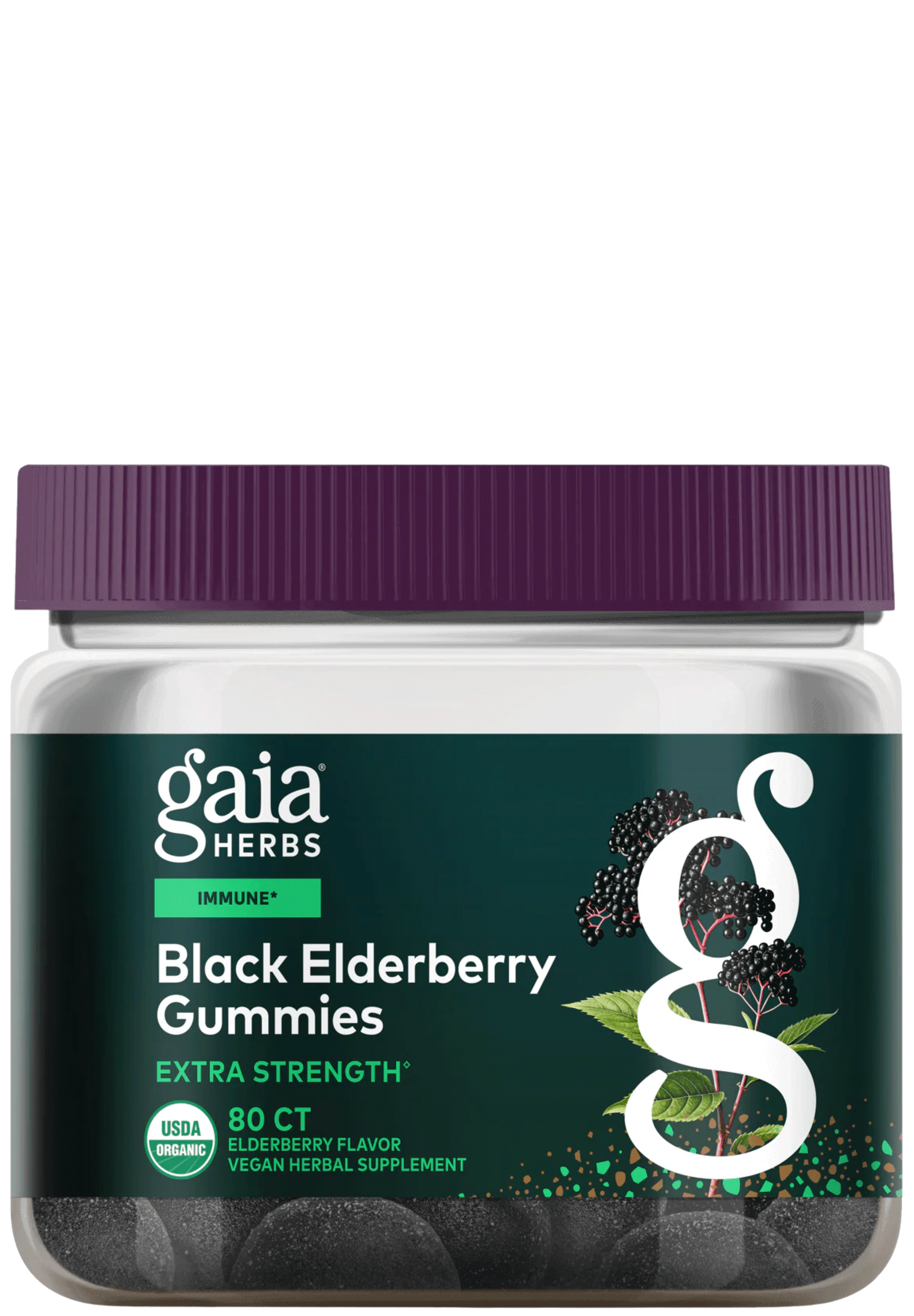 Gaia Herbs Black Elderberry Extra Strength