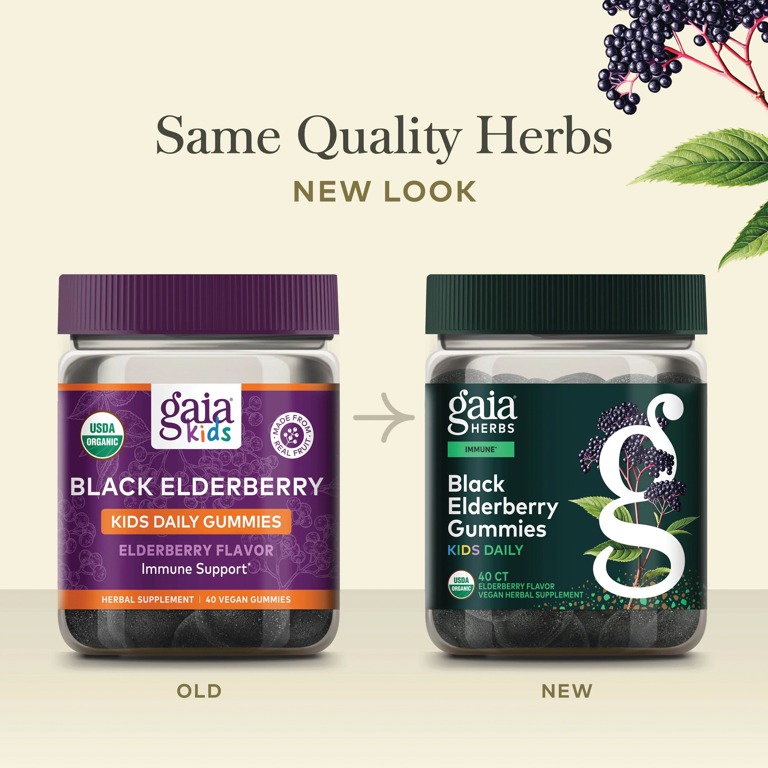 Gaia Herbs Black Elderberry Gummies Kids Daily New Look