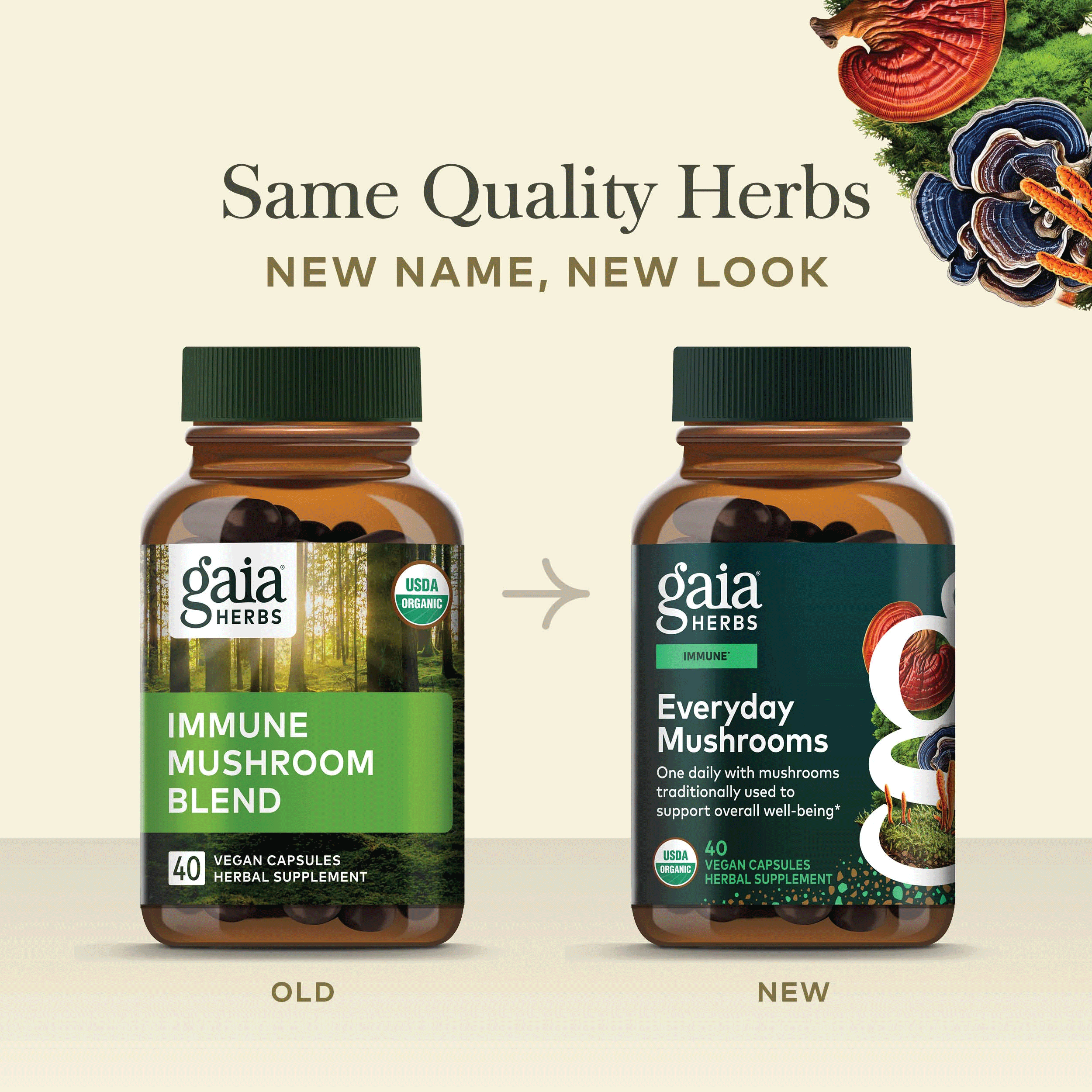 Gaia Herbs Everyday Mushrooms (Formerly Immune Mushroom Blend) New Look