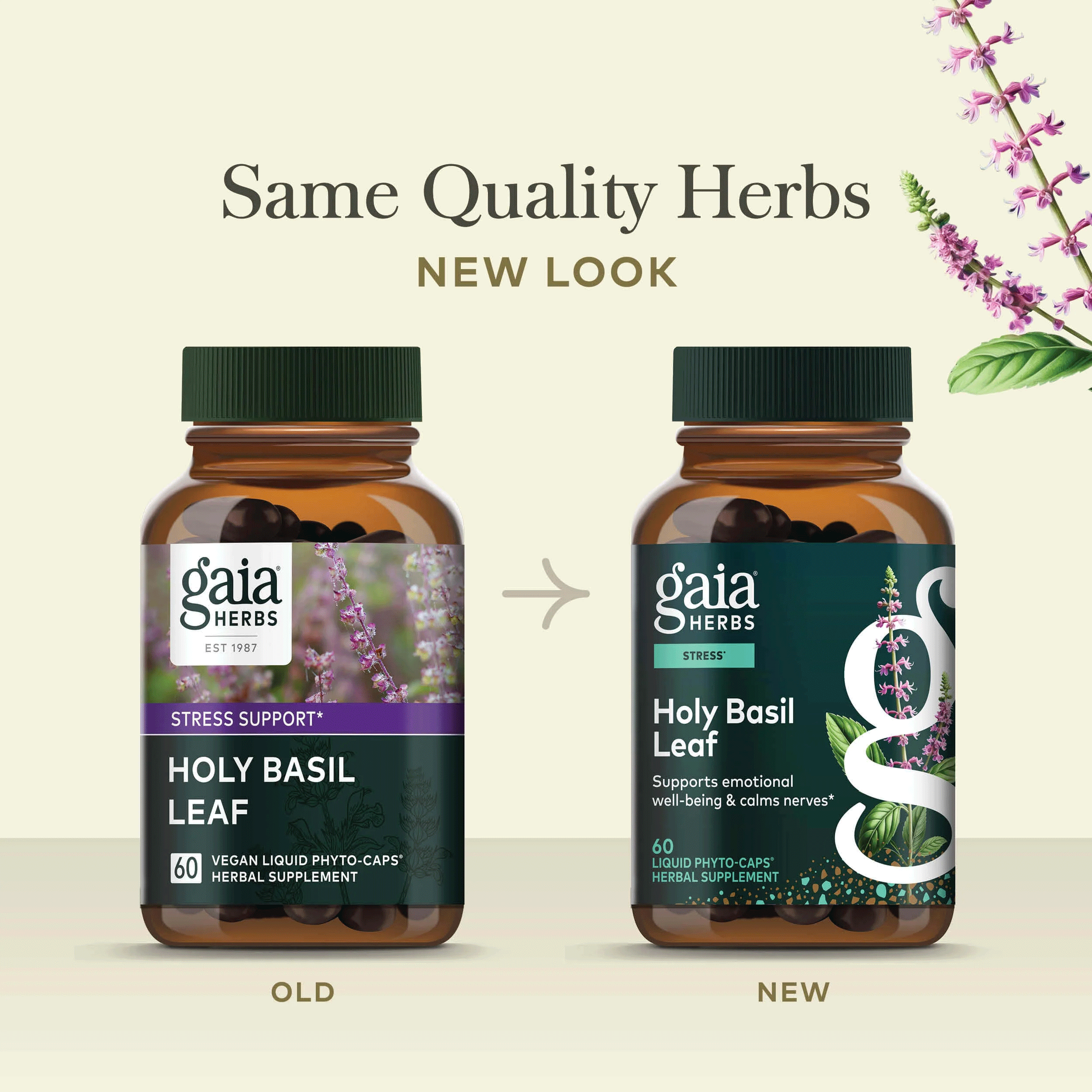 Gaia Herbs Holy Basil Leaf Capsules New Look