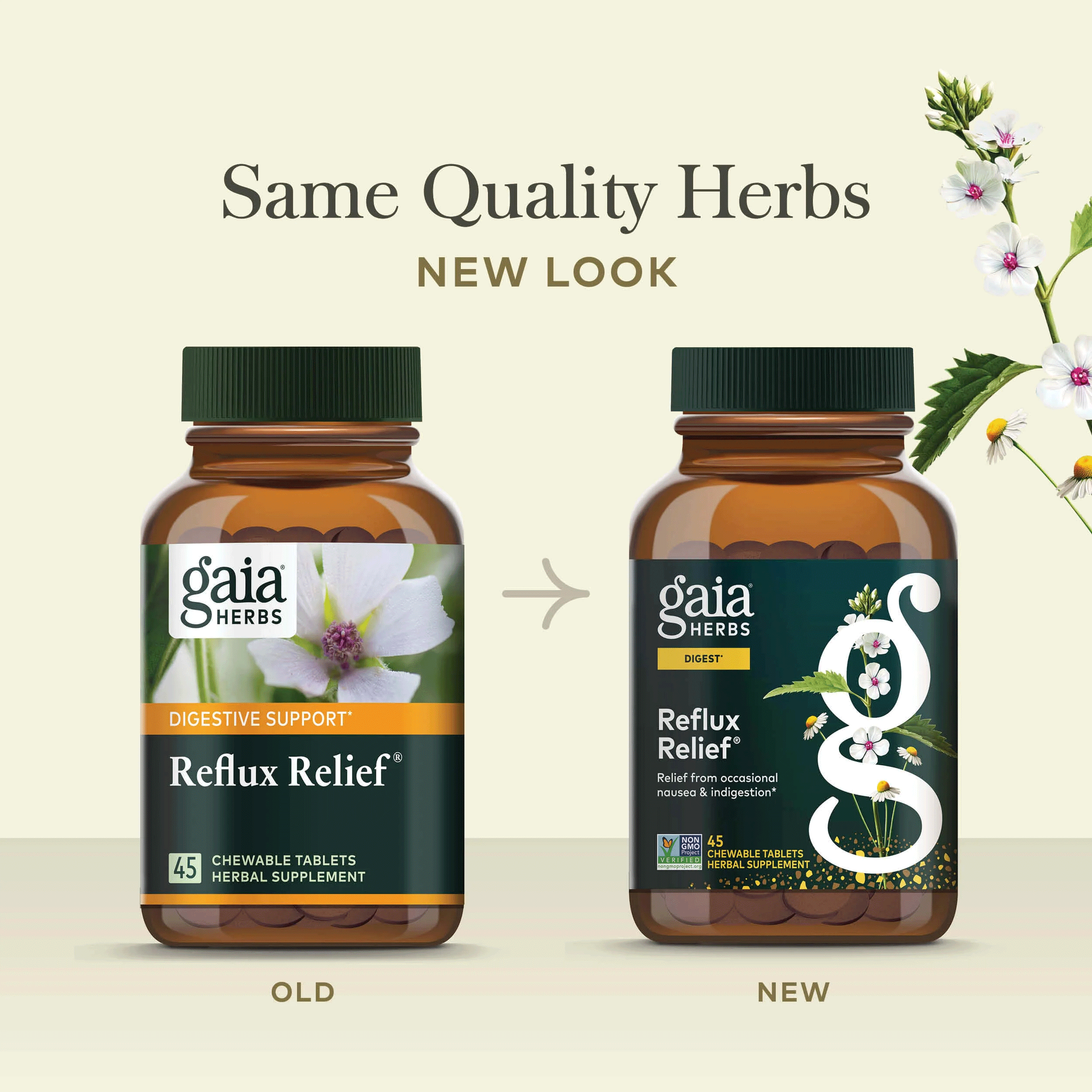 Gaia Herbs Ashwagandha Gummies New Look