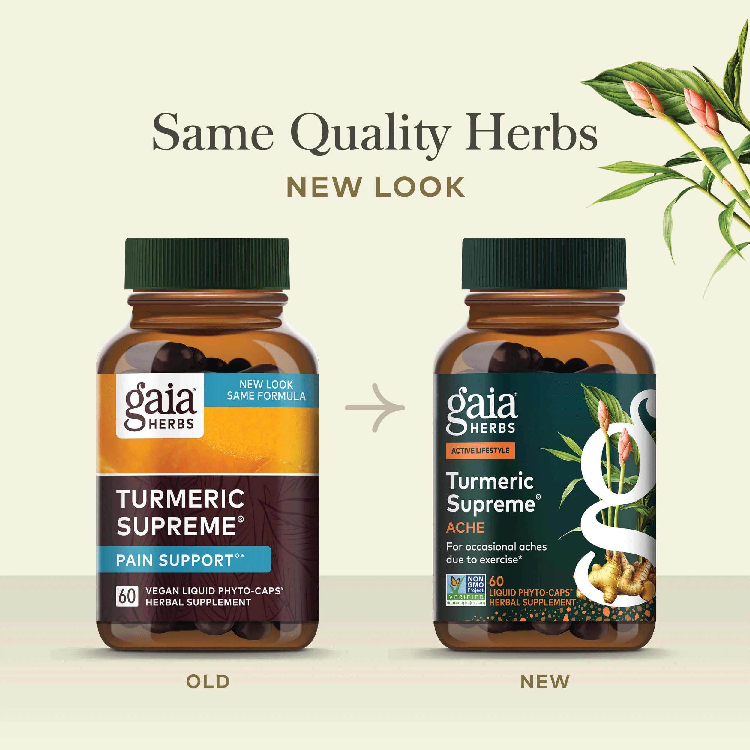 Gaia Herbs Turmeric Supreme Ache New Look