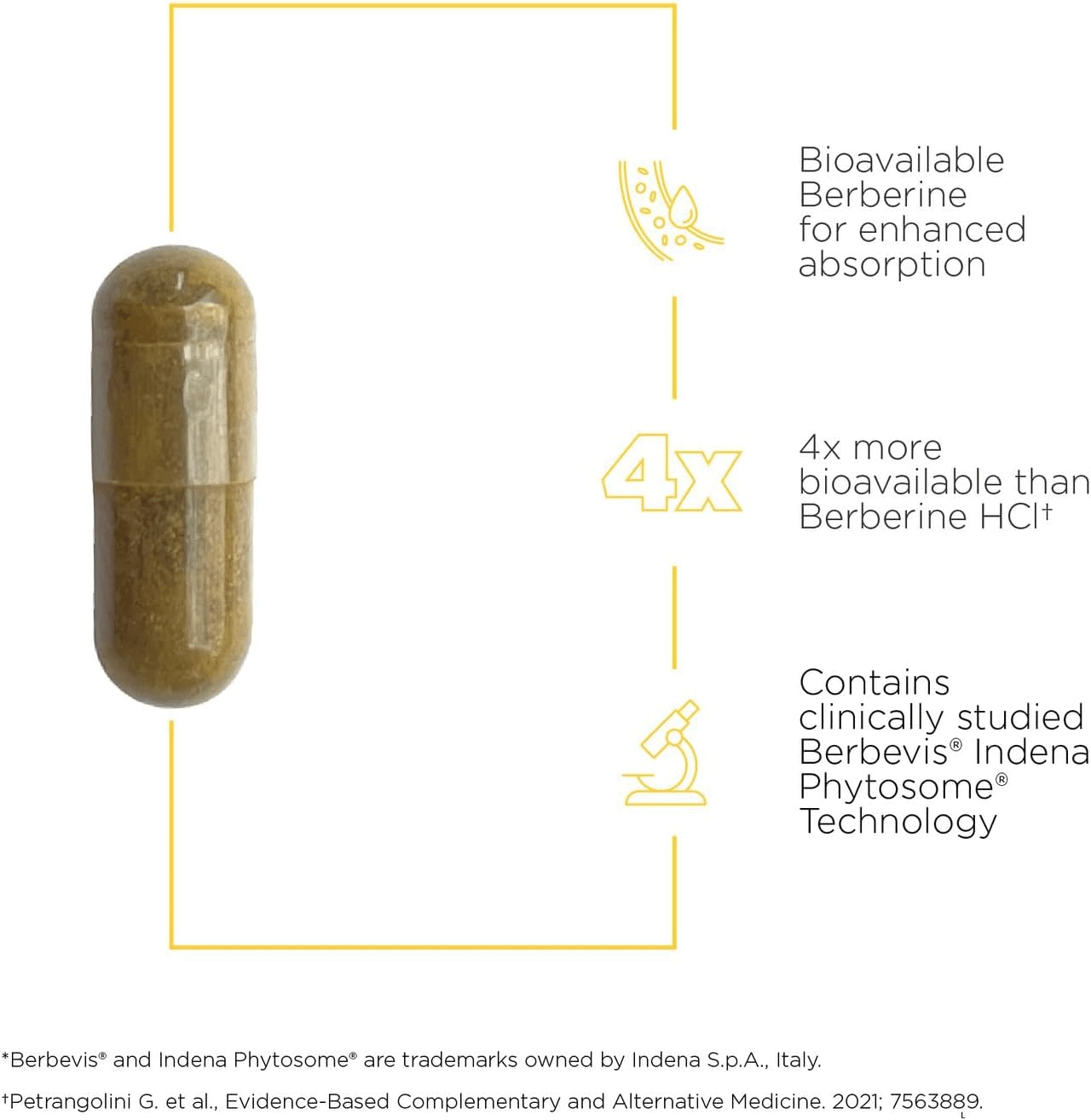 Integrative Therapeutics Berberine Phytomax Capsules
