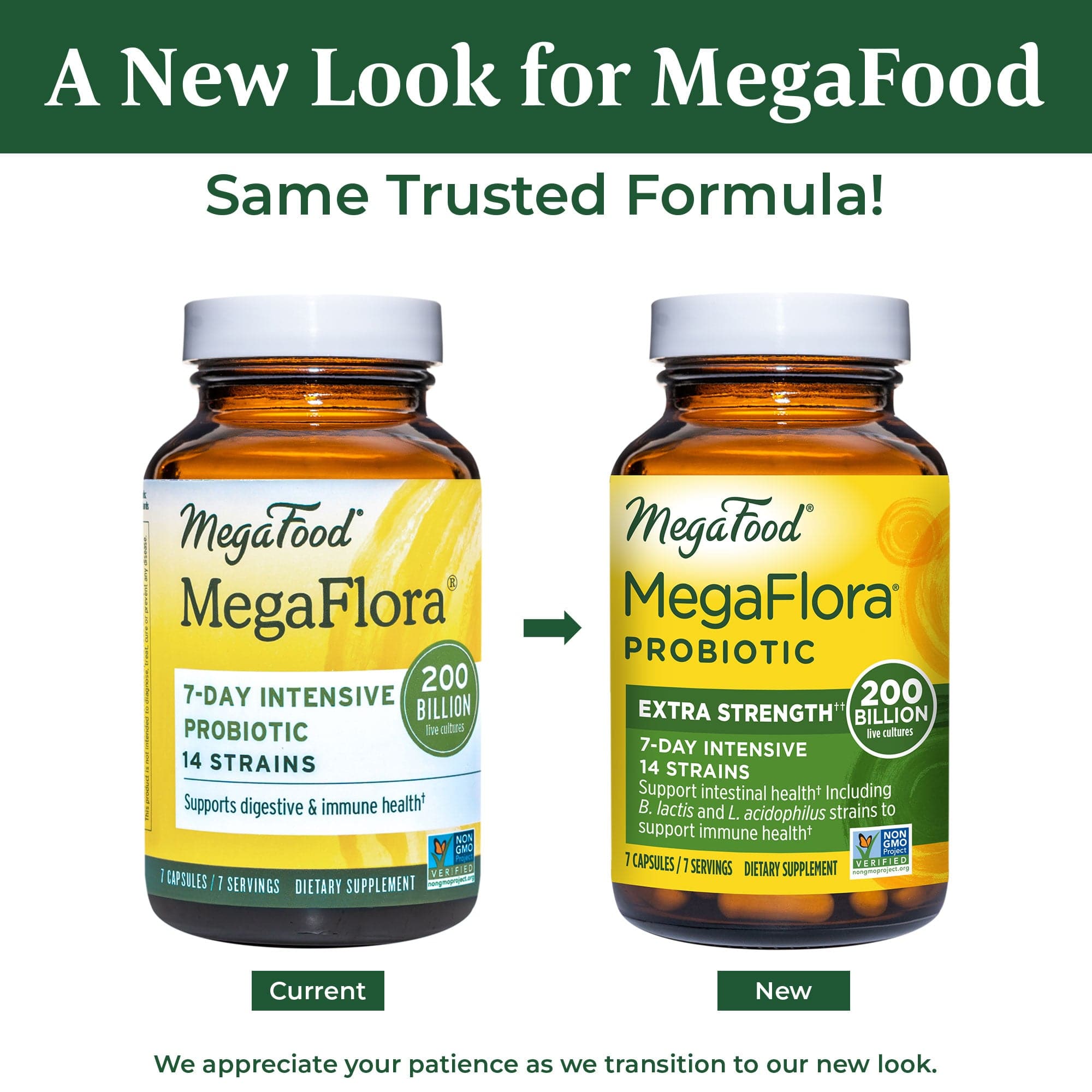 MegaFood MegaFlora 200 - 7 Day Intensive Probiotic