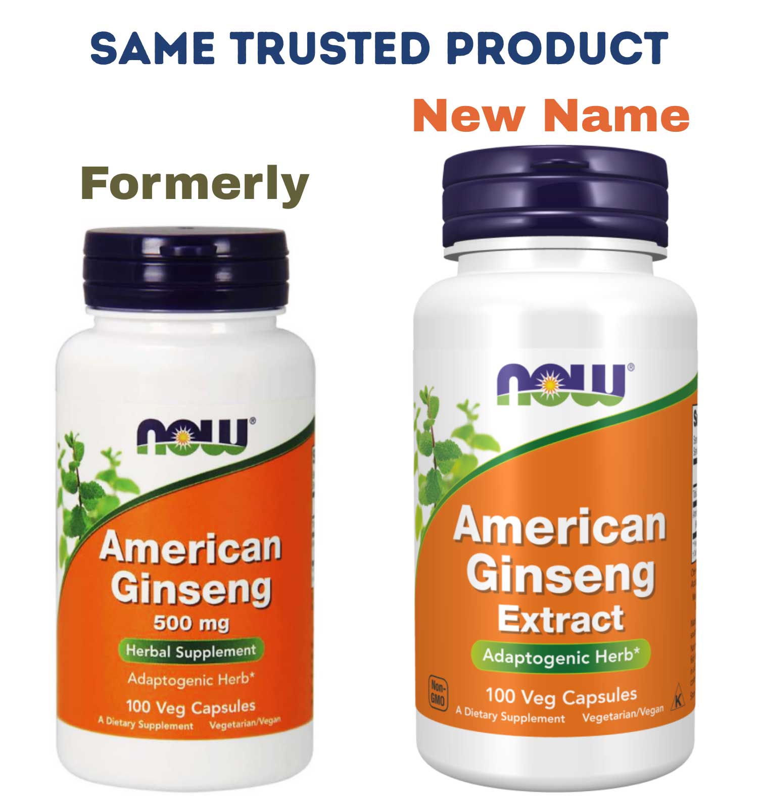 NOW American Ginseng Extract (NOW American Ginseng 500 mg) New Look