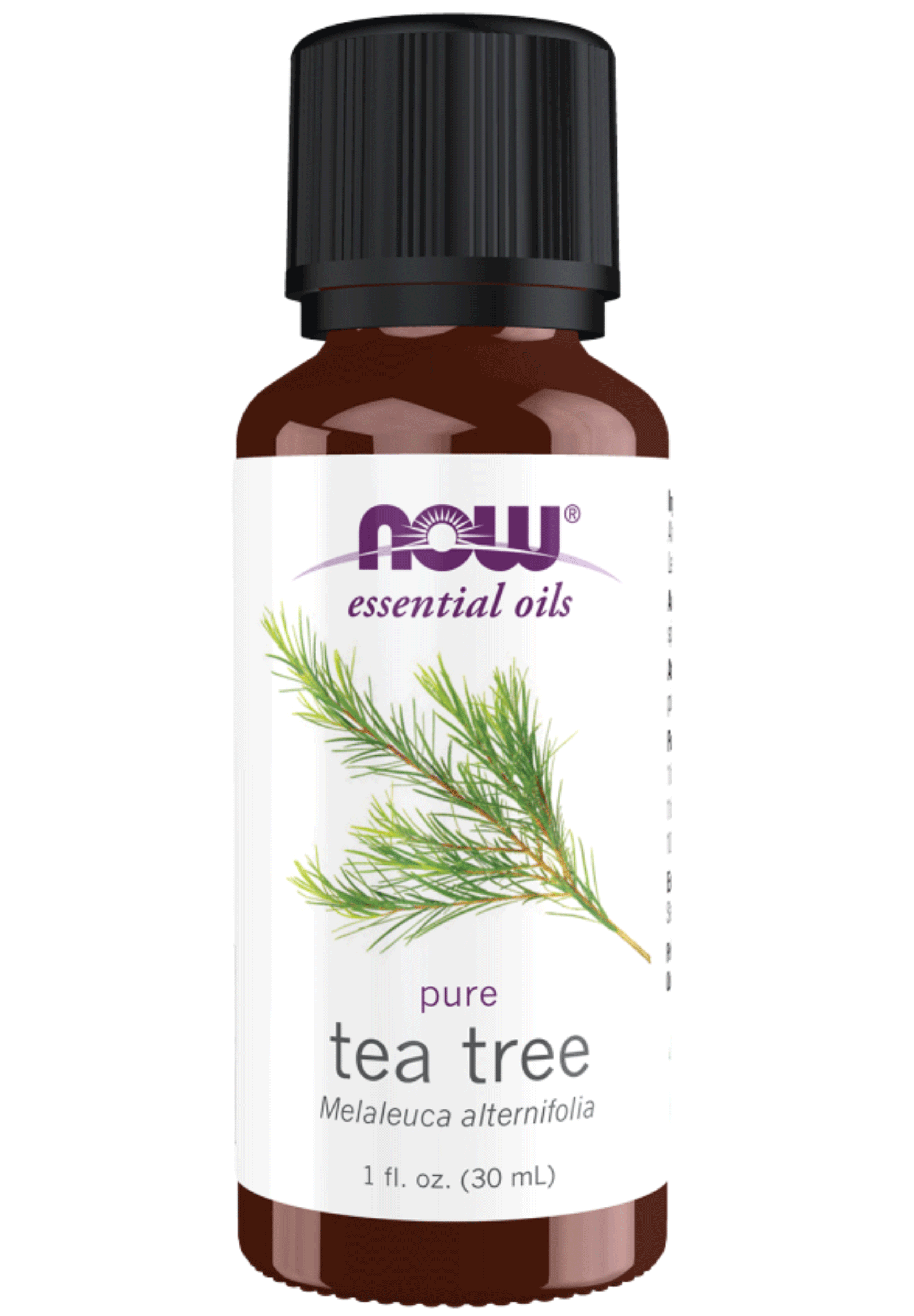 NOW Essential Oils 100% Pure Tea Tree