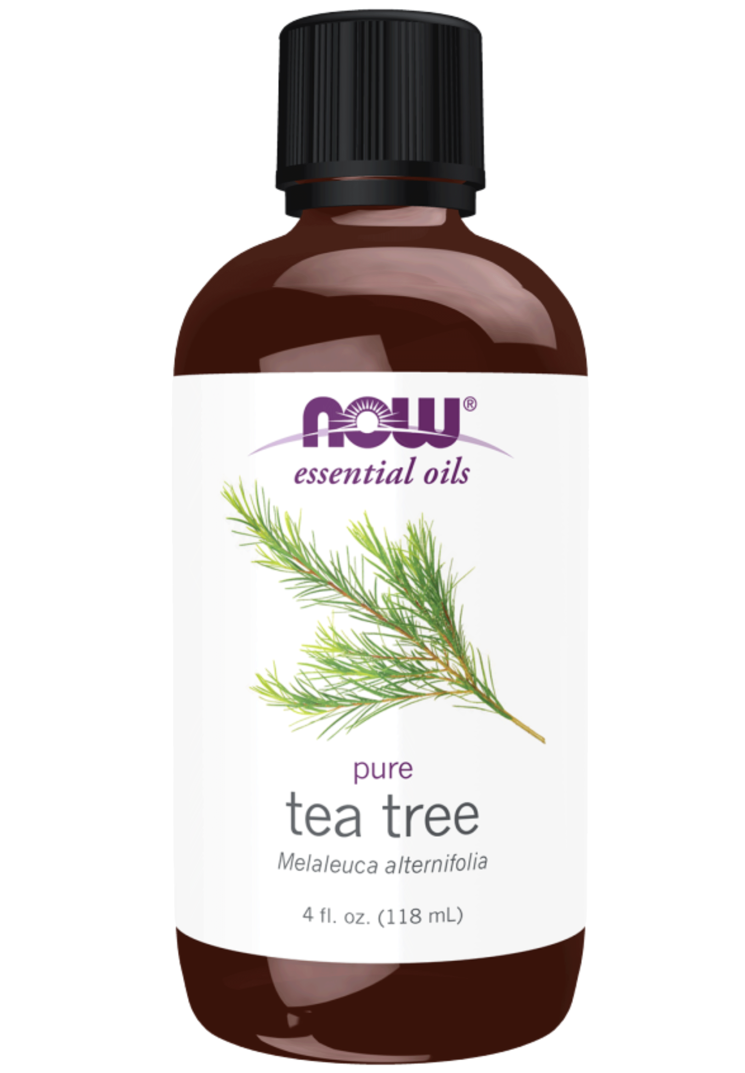 NOW Essential Oils 100% Pure Tea Tree