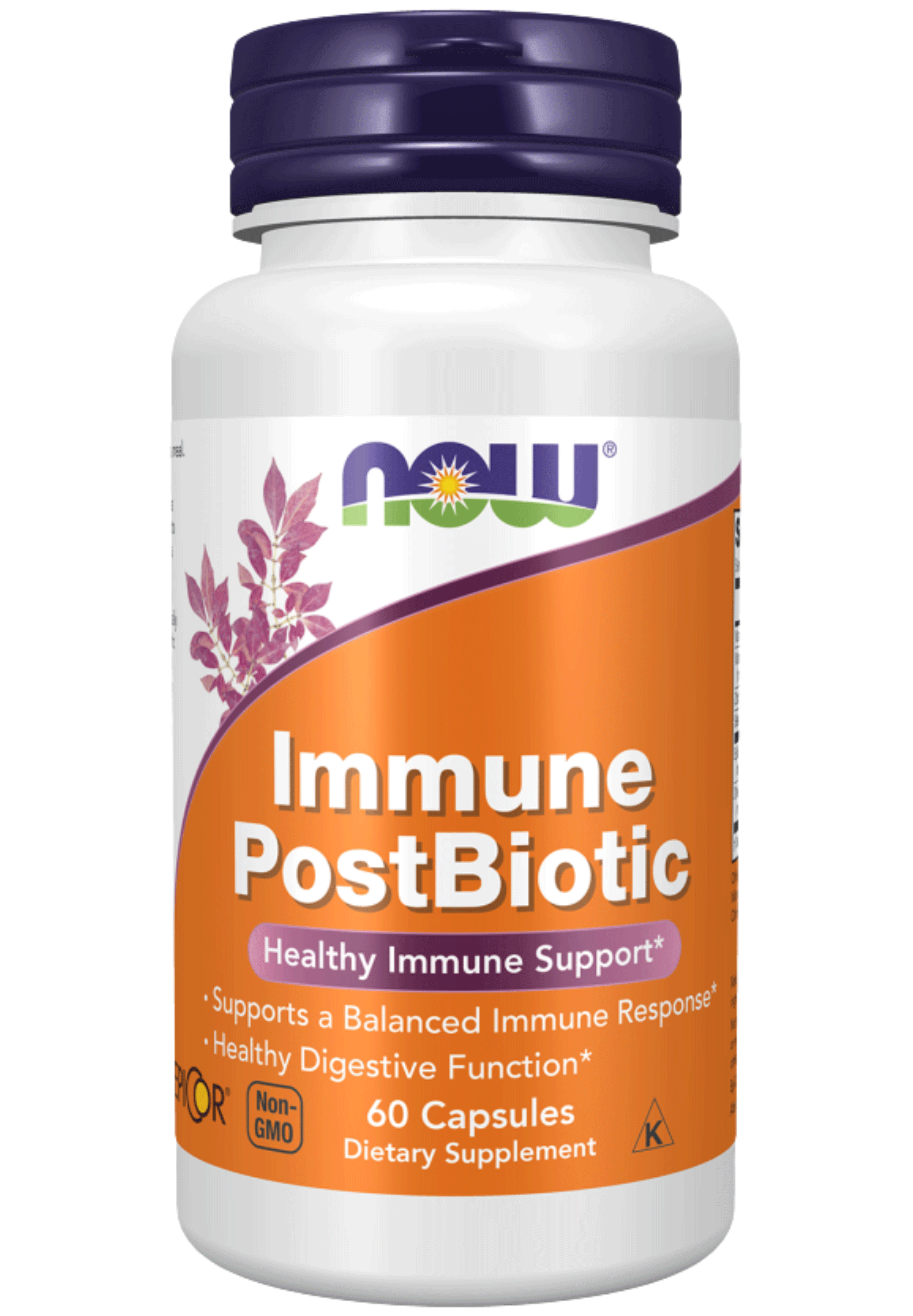 NOW Immune PostBiotic (Formerly EpiCor Plus Immunity)