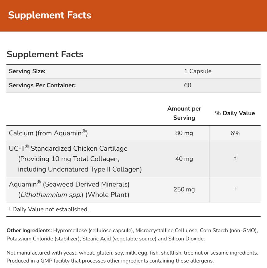 NOW UC-II Type II Collagen Ingredients