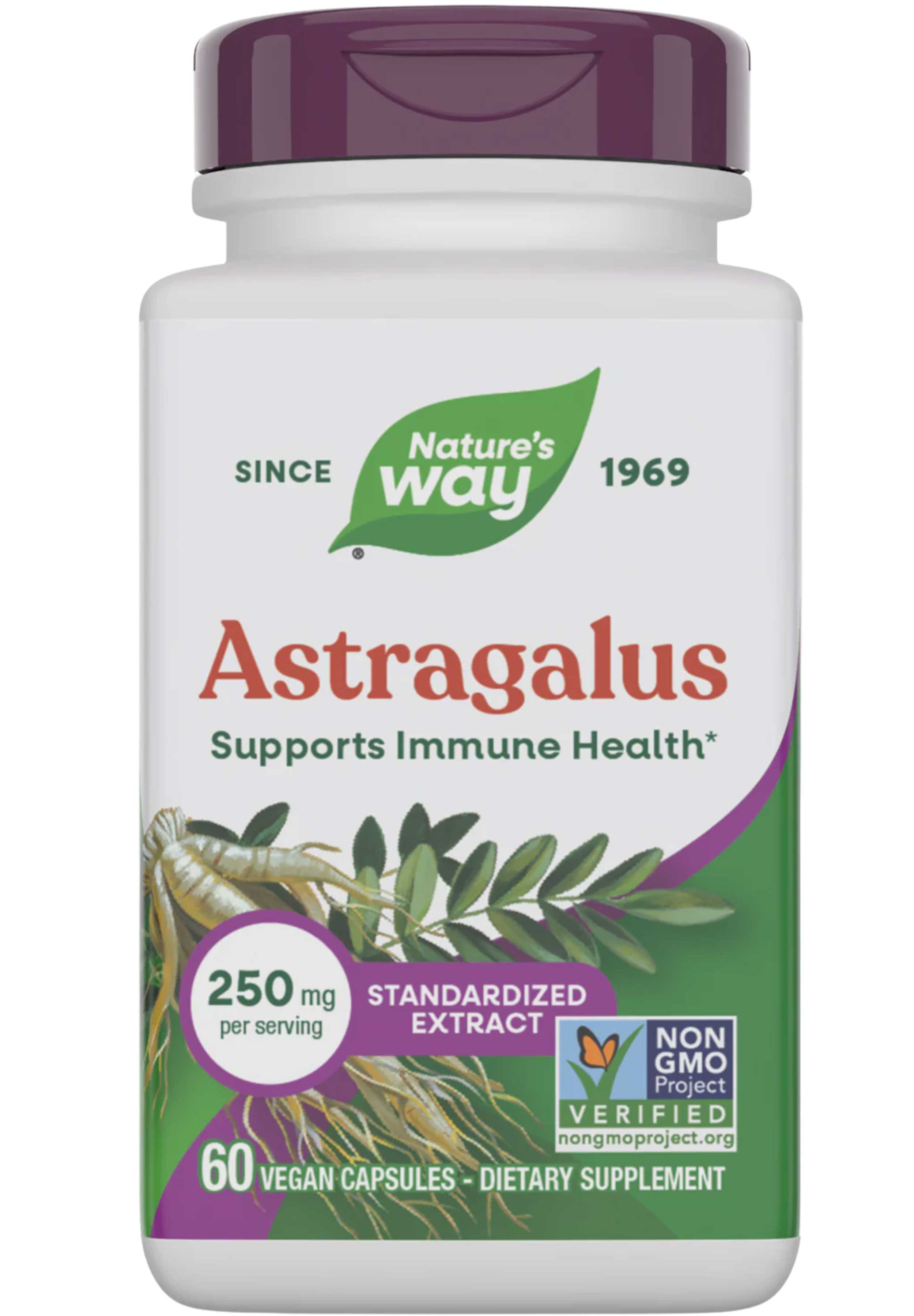 Nature's Way Astragalus