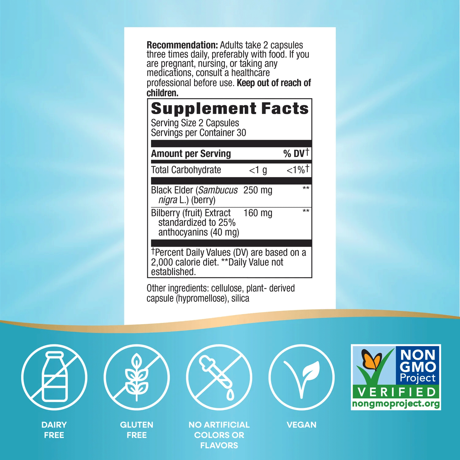 Nature's Way Bilberry Standardized Extract Ingredients