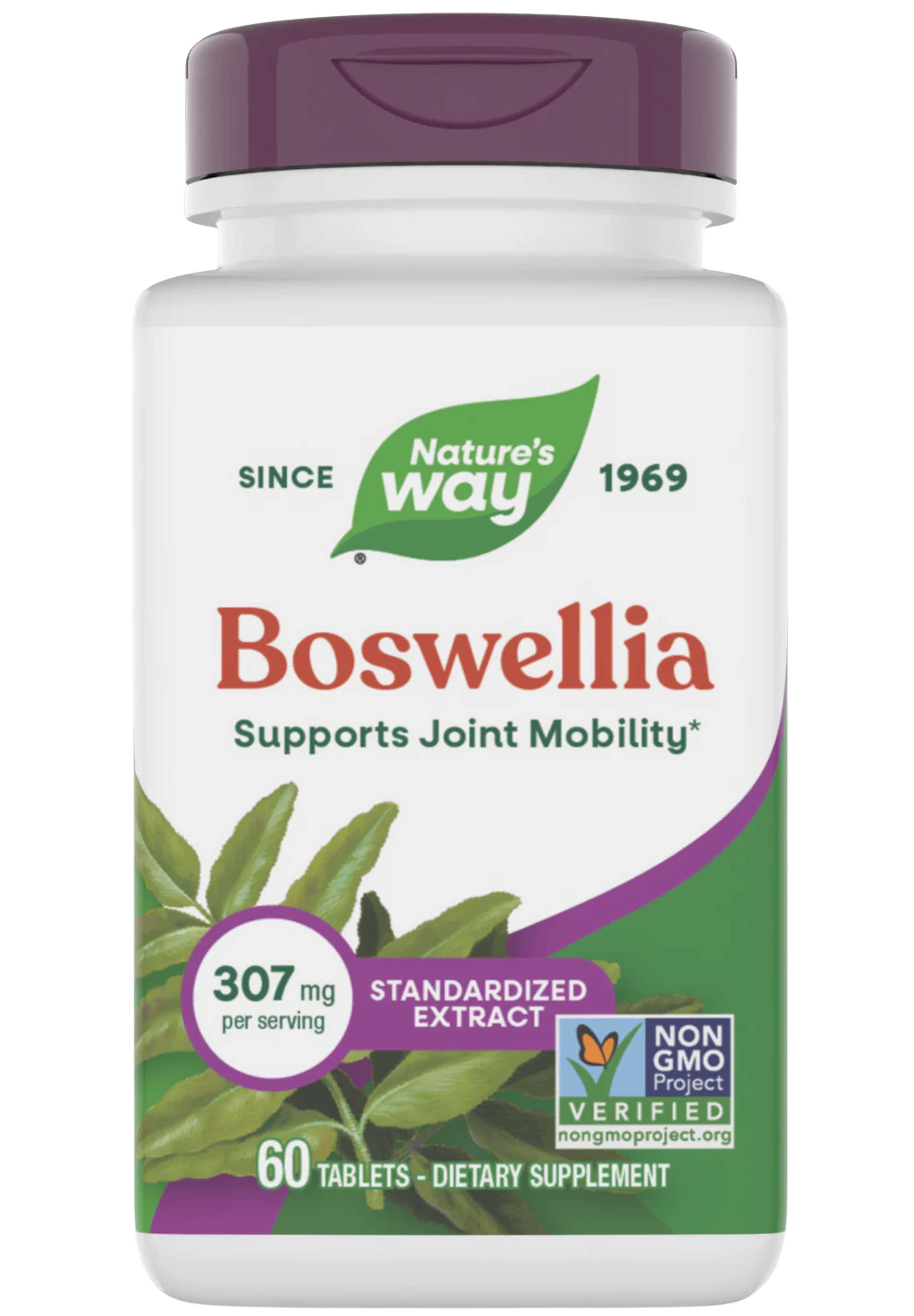 Nature's Way Boswellia Standardized Extract