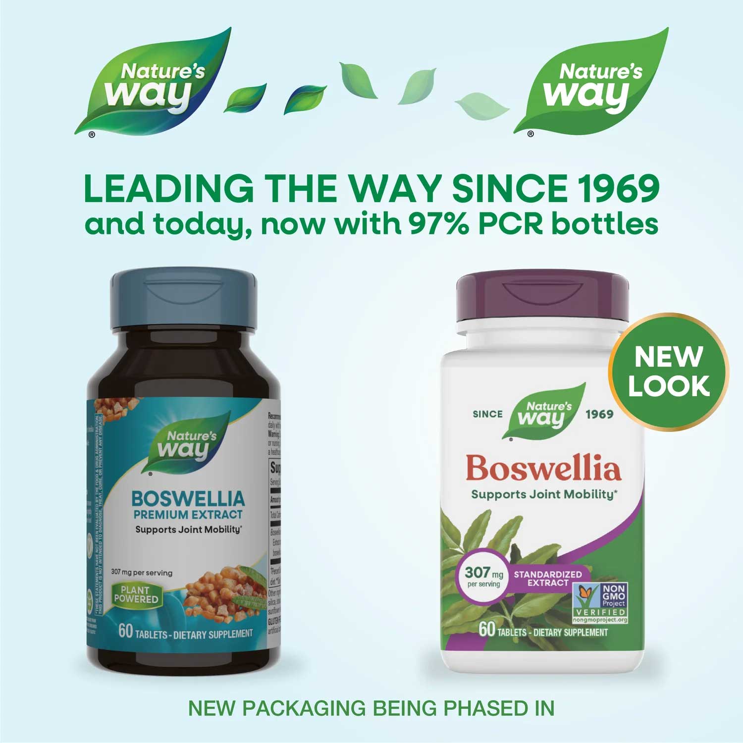 Nature's Way Boswellia Standardized Extract New Look