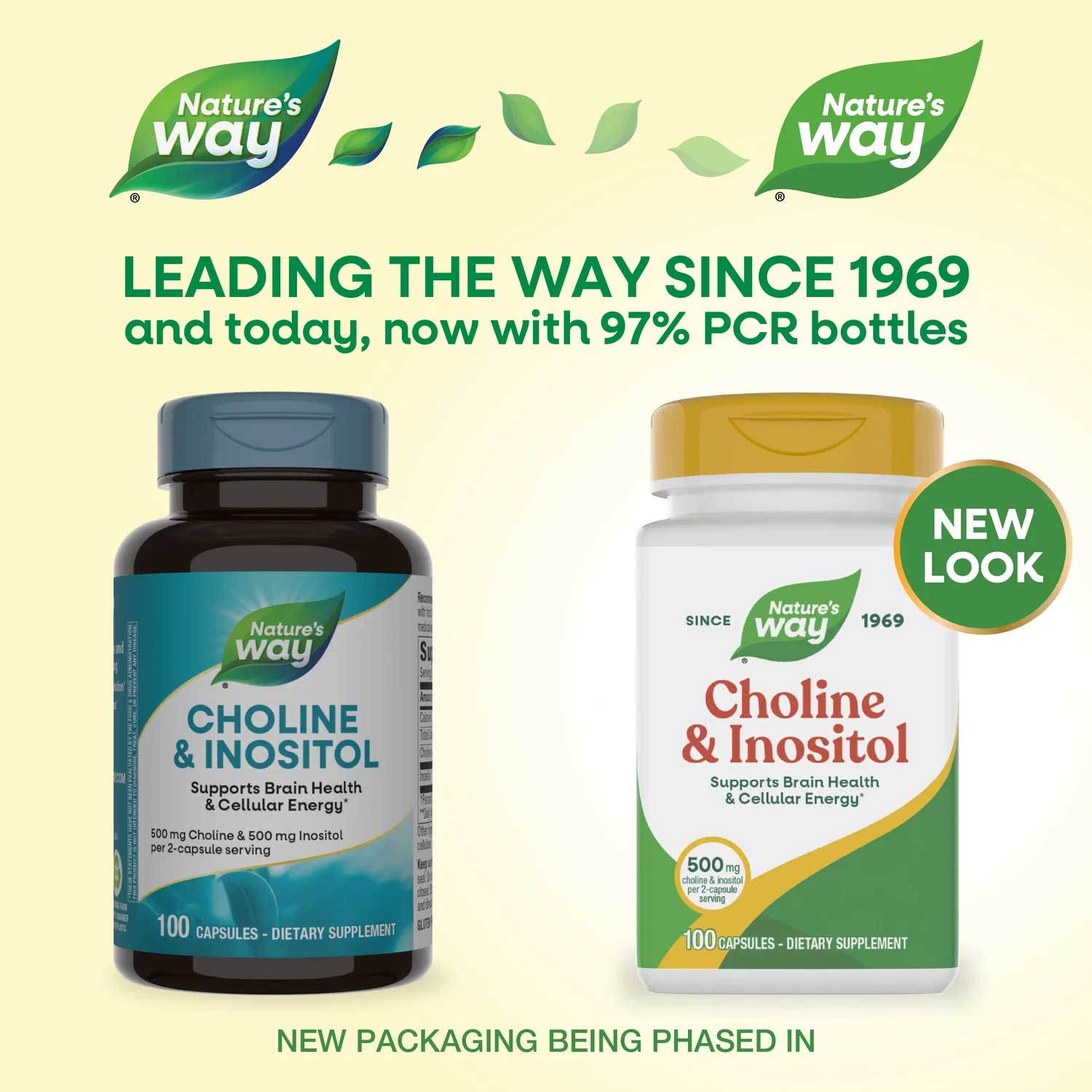 Nature's Way Choline & Inositol New Look