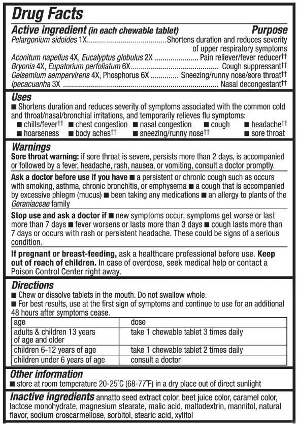 Nature's Way Umcka Cold+Flu Relief Chewables Ingredients
