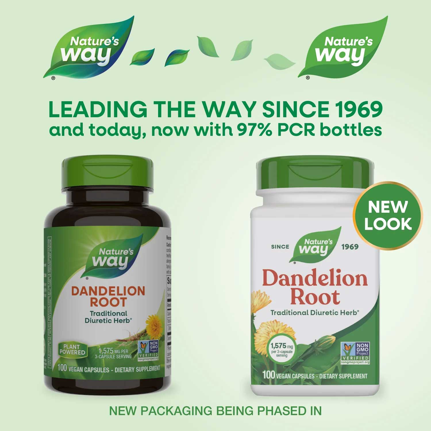 Nature's Way Dandelion Root New Look