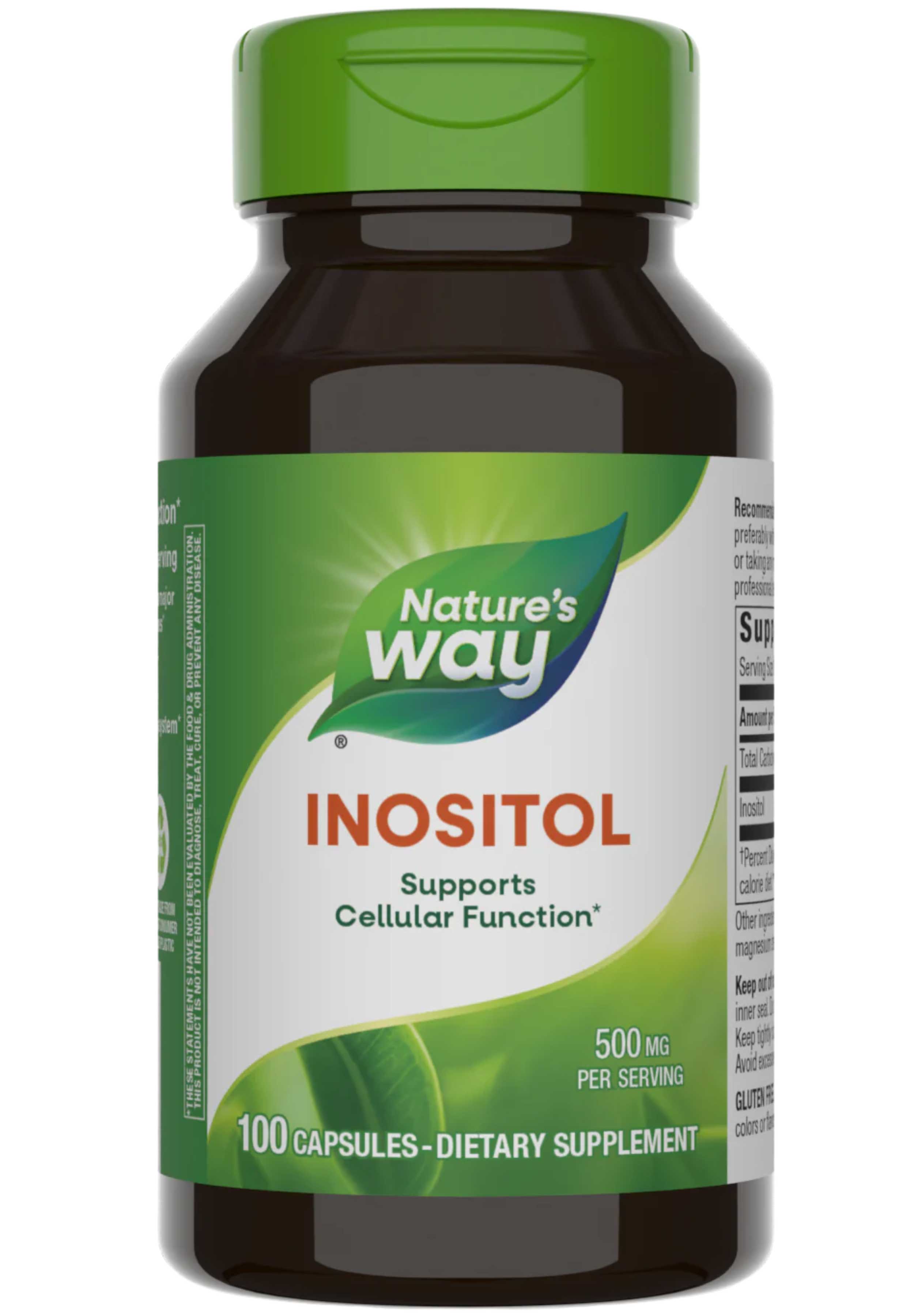 Nature's Way Inositol 500 mg