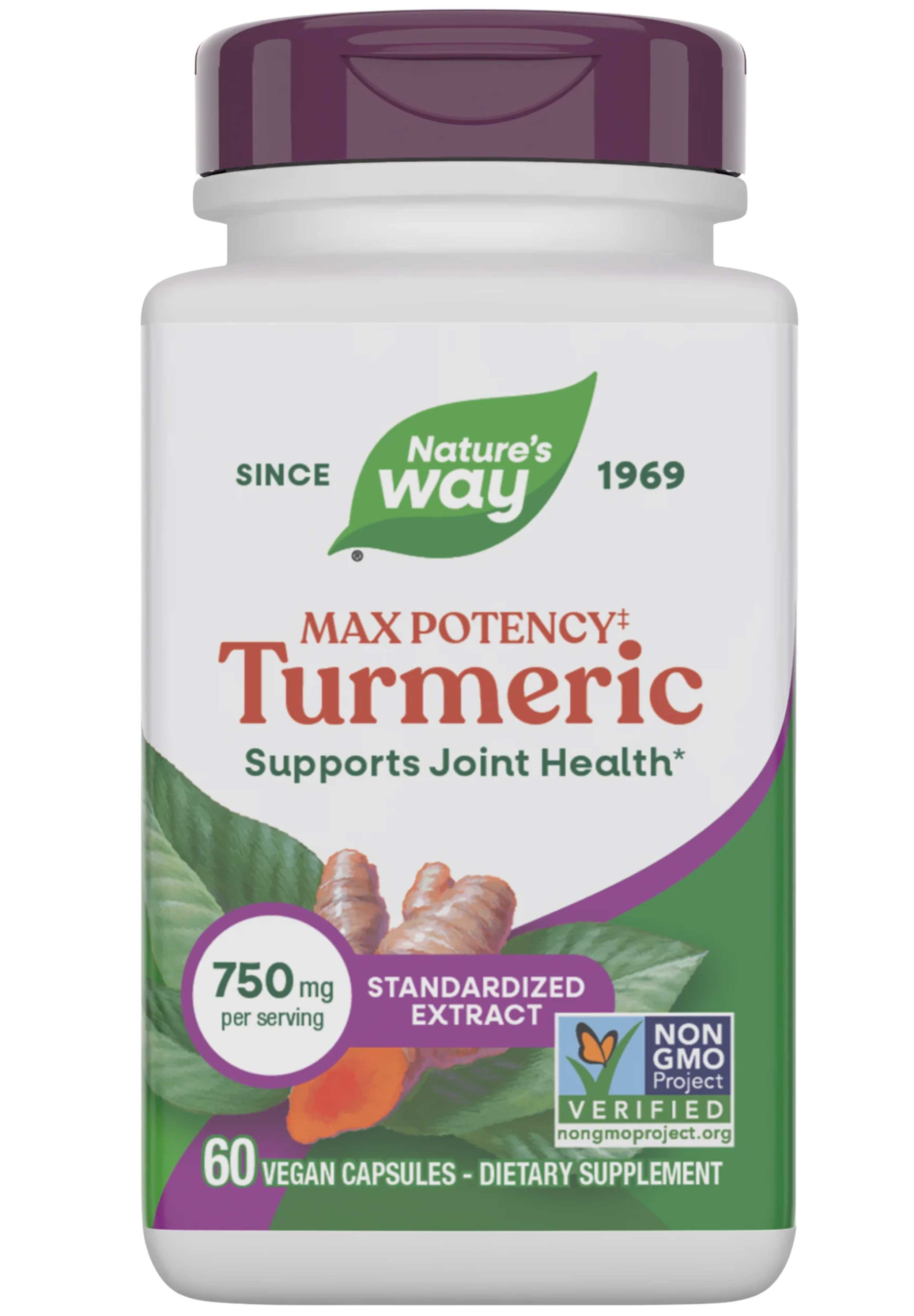 Nature's Way Max Potency Turmeric