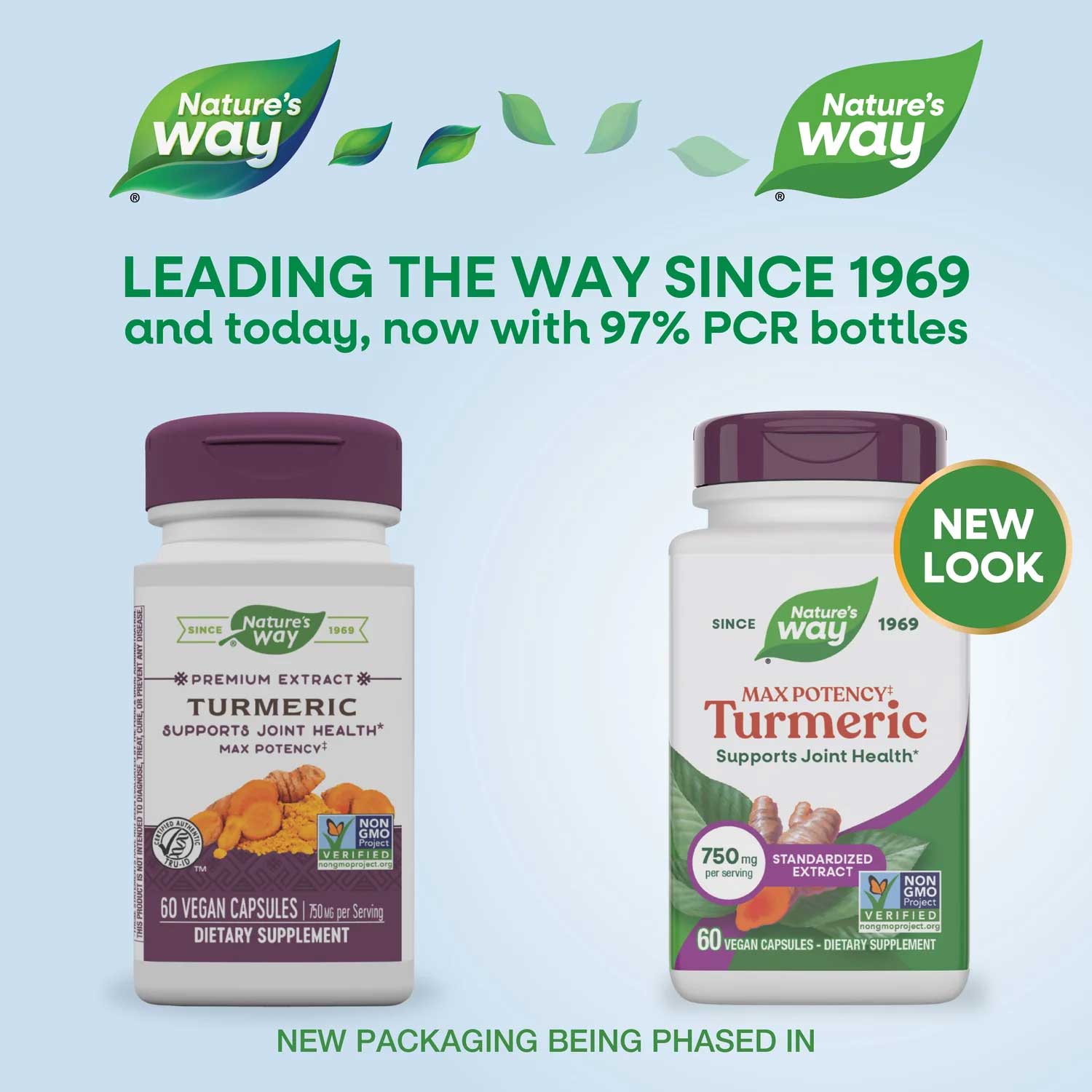 Nature's Way Max Potency Turmeric New Look