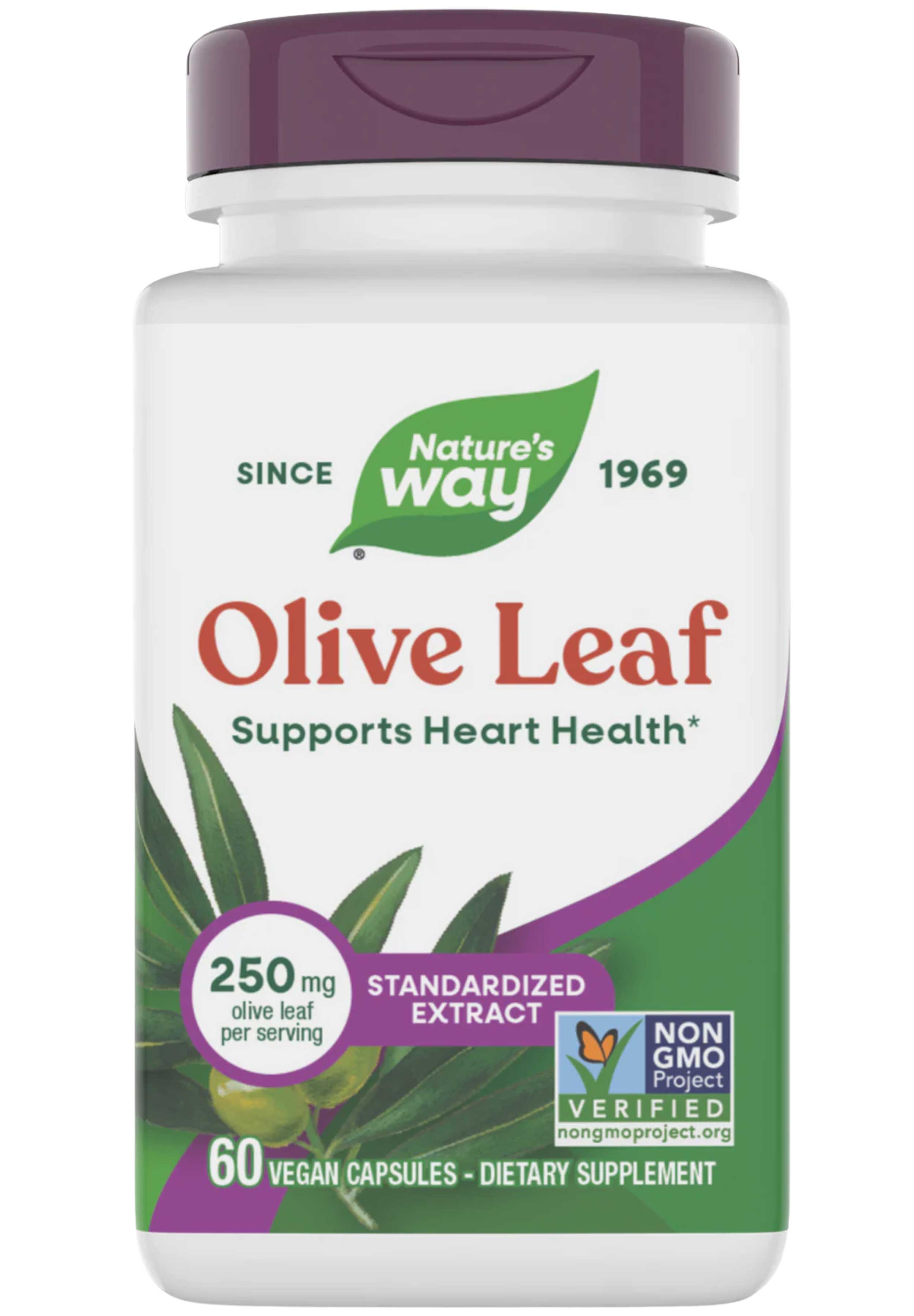 Nature's Way Olive Leaf Standardized Extract