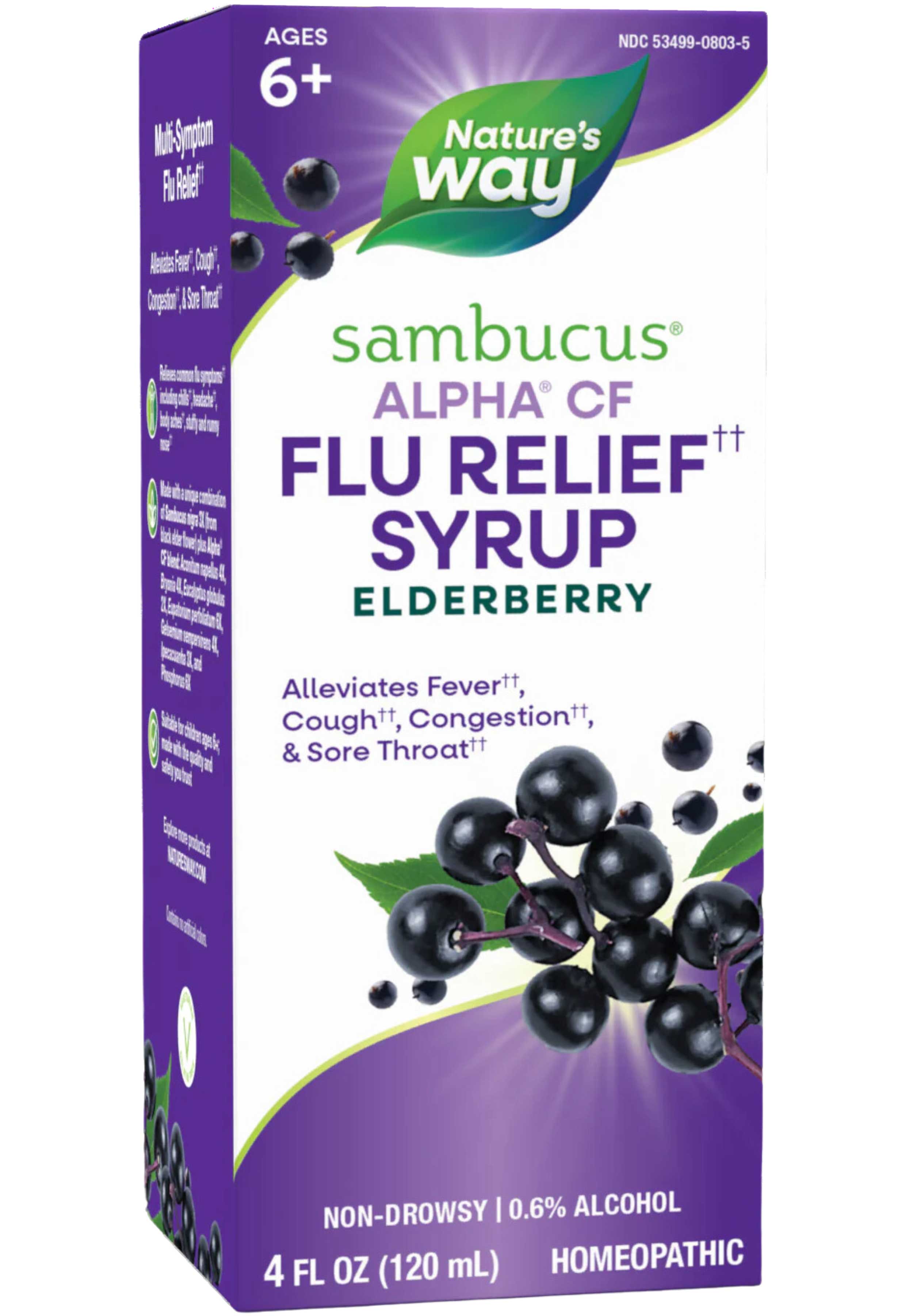 Nature's Way Sambucus Alpha CF Flu Relief Syrup