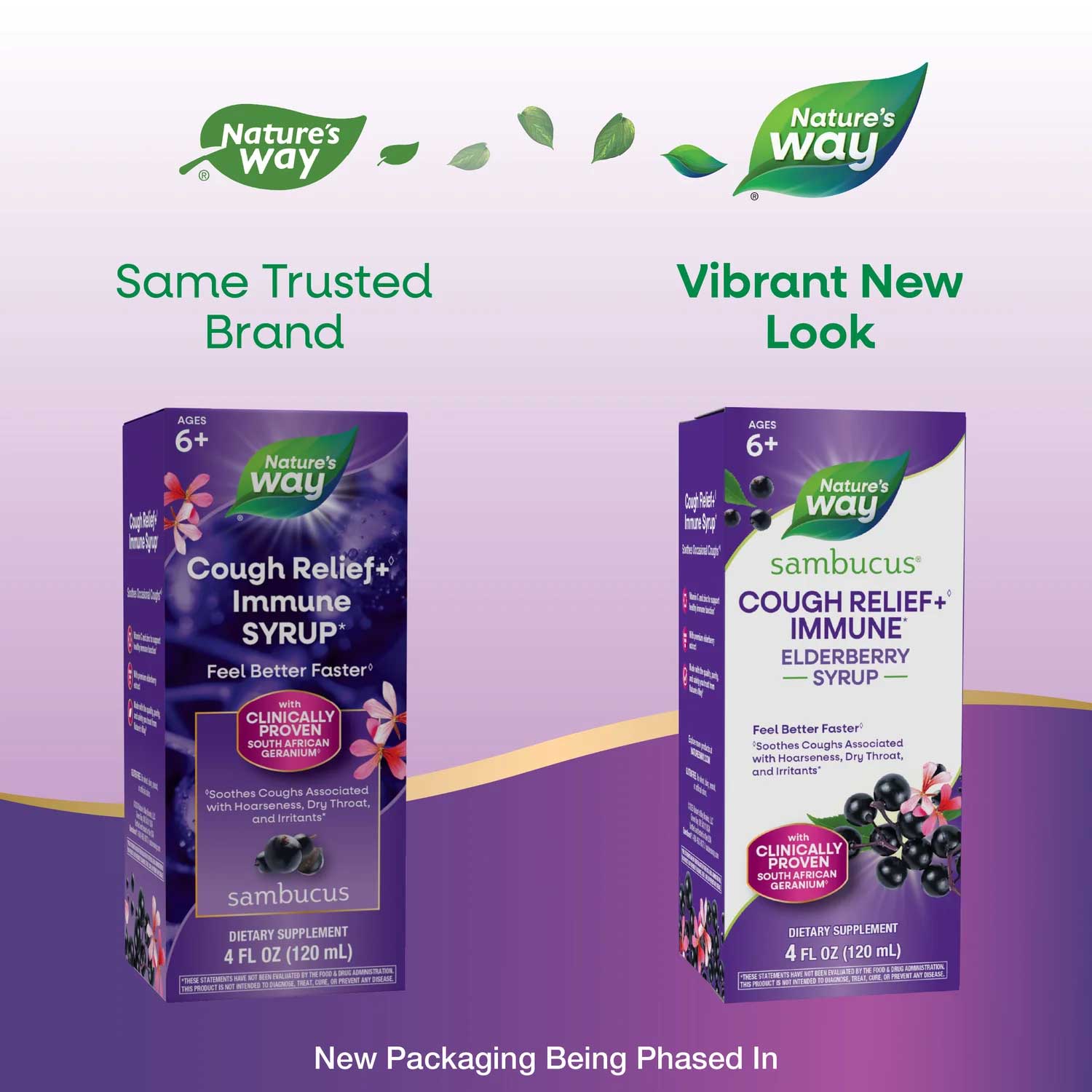 Nature's Way Sambucus Cough Relief + Immune Syrup New Look