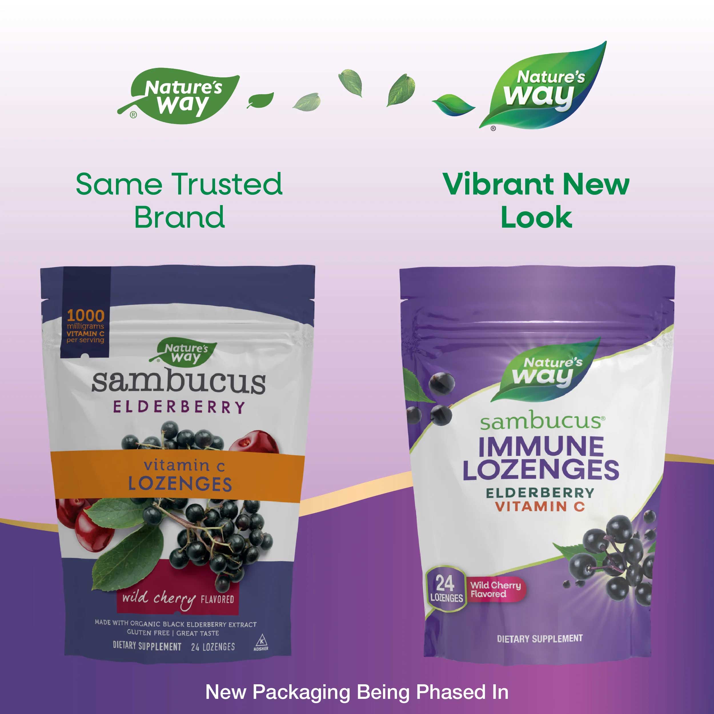 Nature's Way Sambucus Immune Lozenges Vitamin C Wild Cherry Lozenges New Look