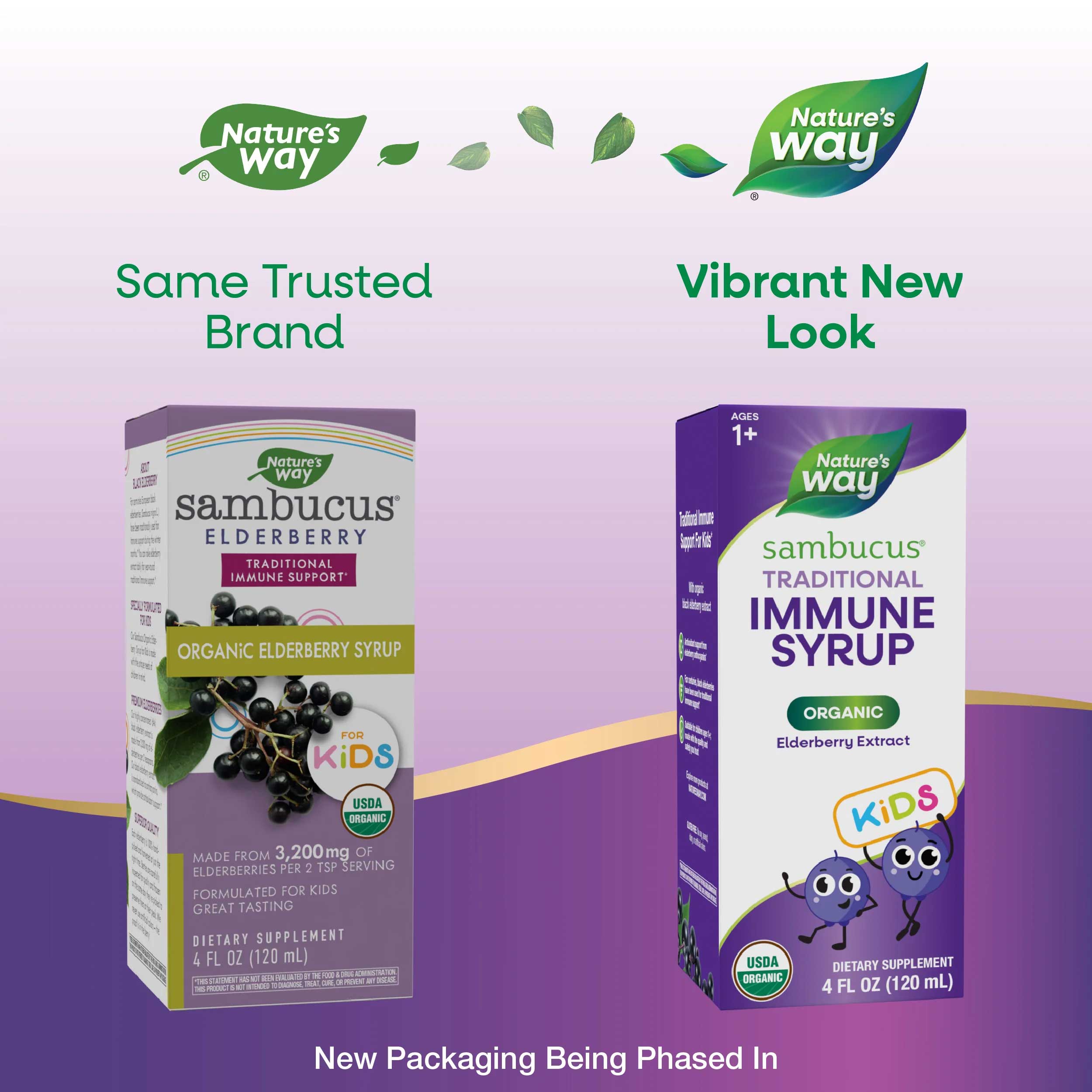 Nature's Way Sambucus Organic Immune Syrup for Kids New Look