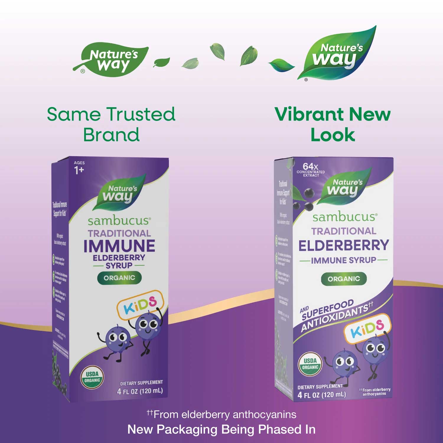 Nature's Way Sambucus Organic Traditional Immune Elderberry Syrup for Kids New Look