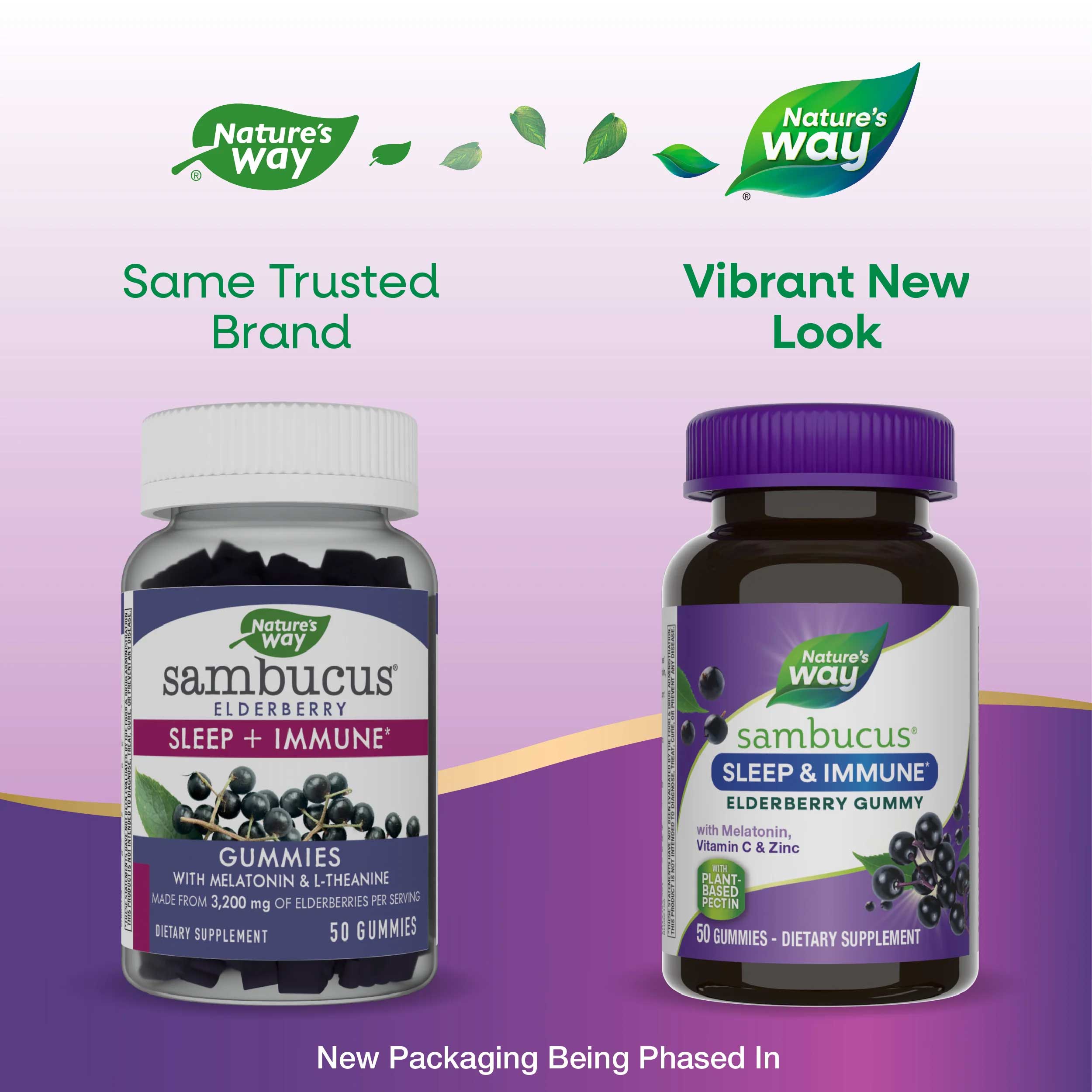 Nature's Way Sambucus Sleep + Immune Gummies New Look