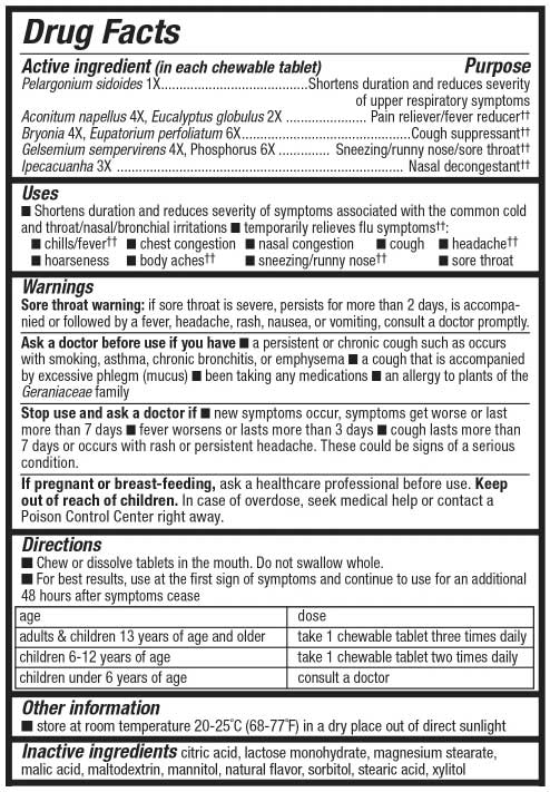 Nature's Way Umcka Cold+Flu Relief Chewables (Orange) Ingredients