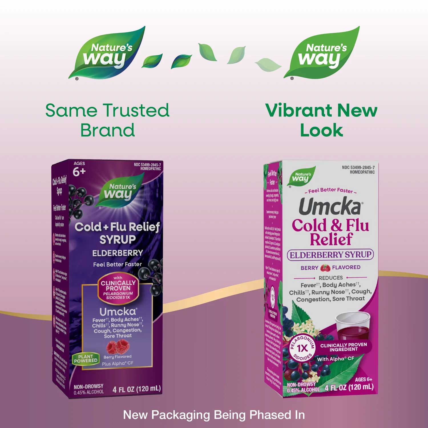 Nature's Way Umcka Cold & Flu Relief Elderberry Syrup New Look