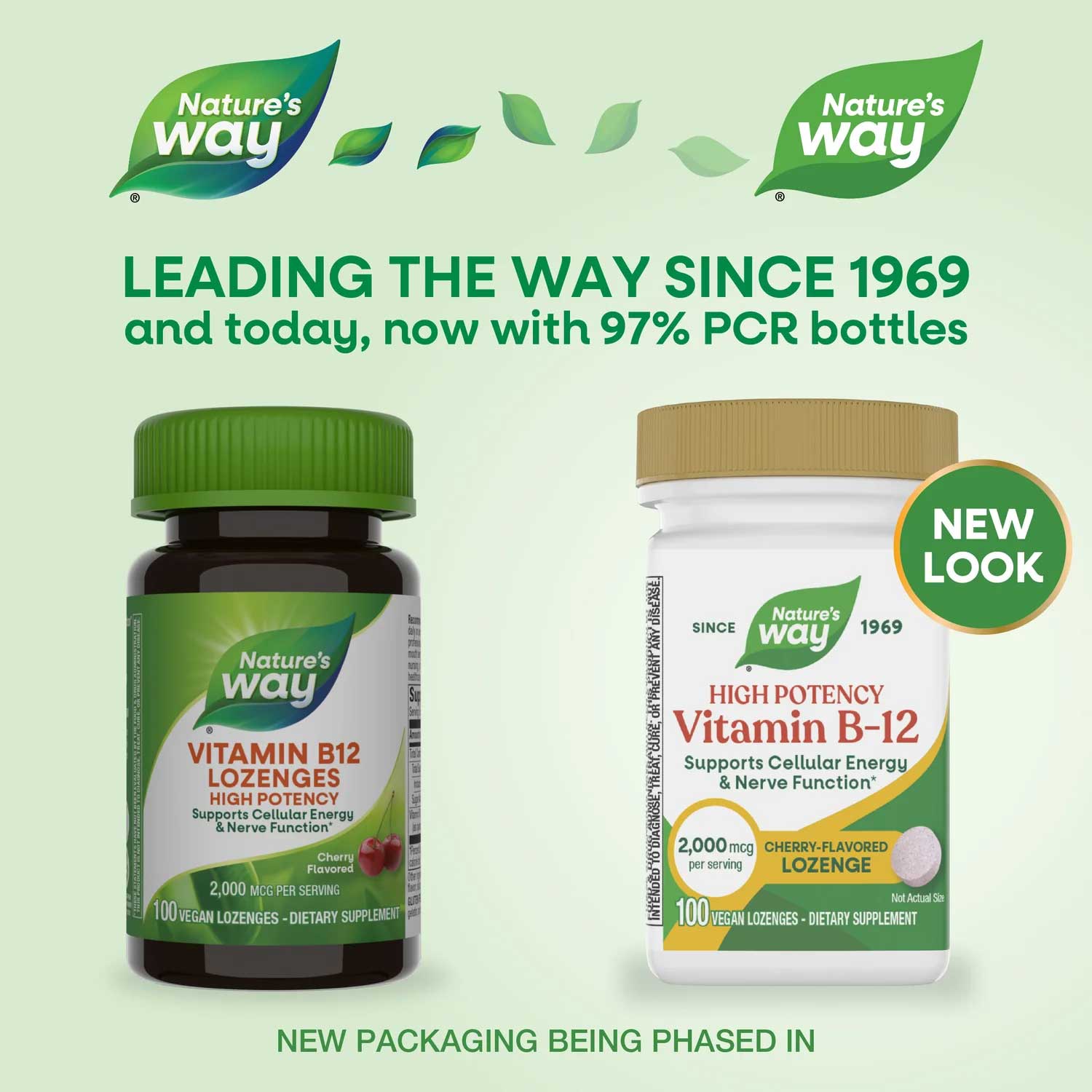 Nature's Way Vitamin B12 Lozenges High Potency New Look