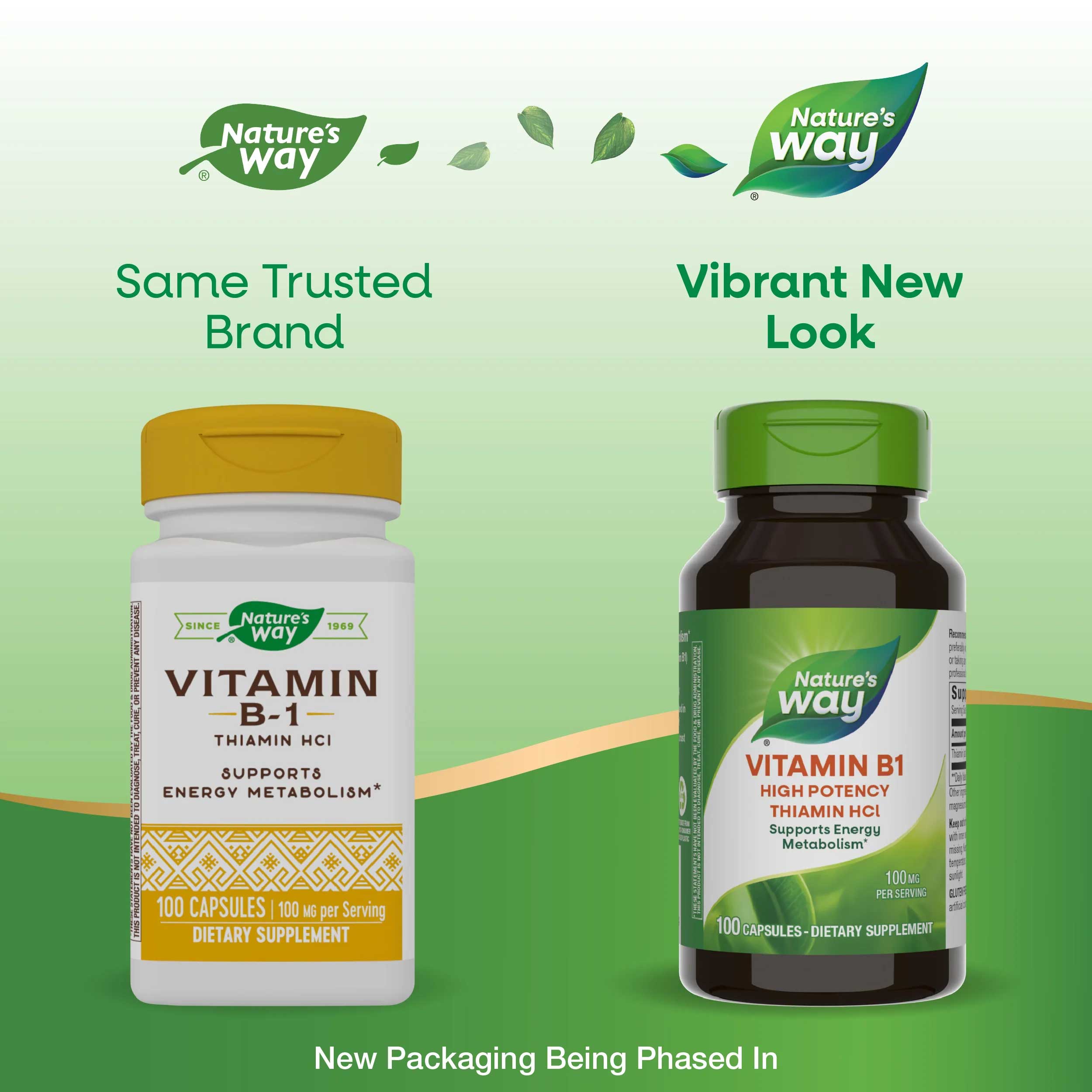 Nature's Way Vitamin B1 High Potency Thiamin HCl New Look