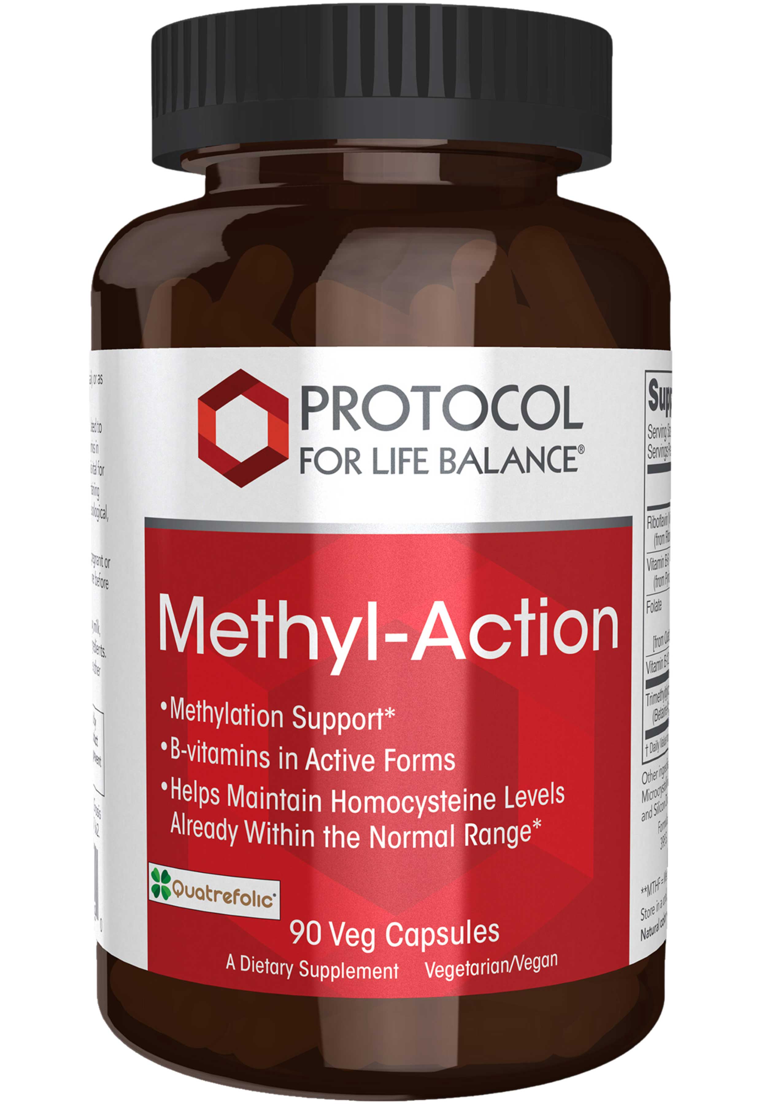 Protocol for Life Balance Methyl-Action