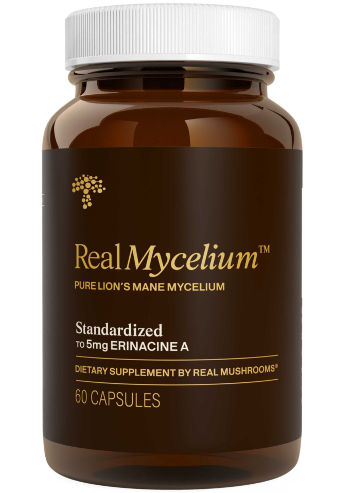 Real Mushrooms Real Mycelium