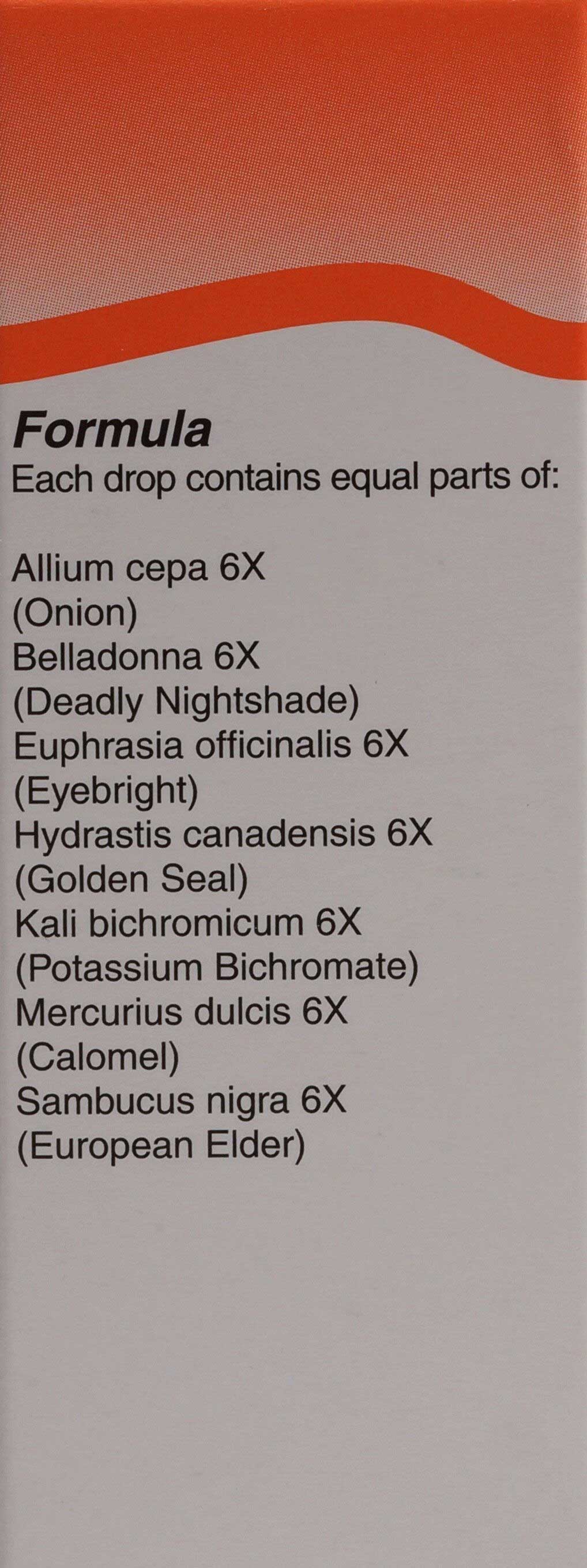 UNDA Allium Cepa Plex Ingredients