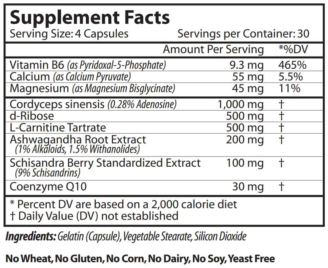 Vinco Energy Ignitor with Cordyceps Ingredients