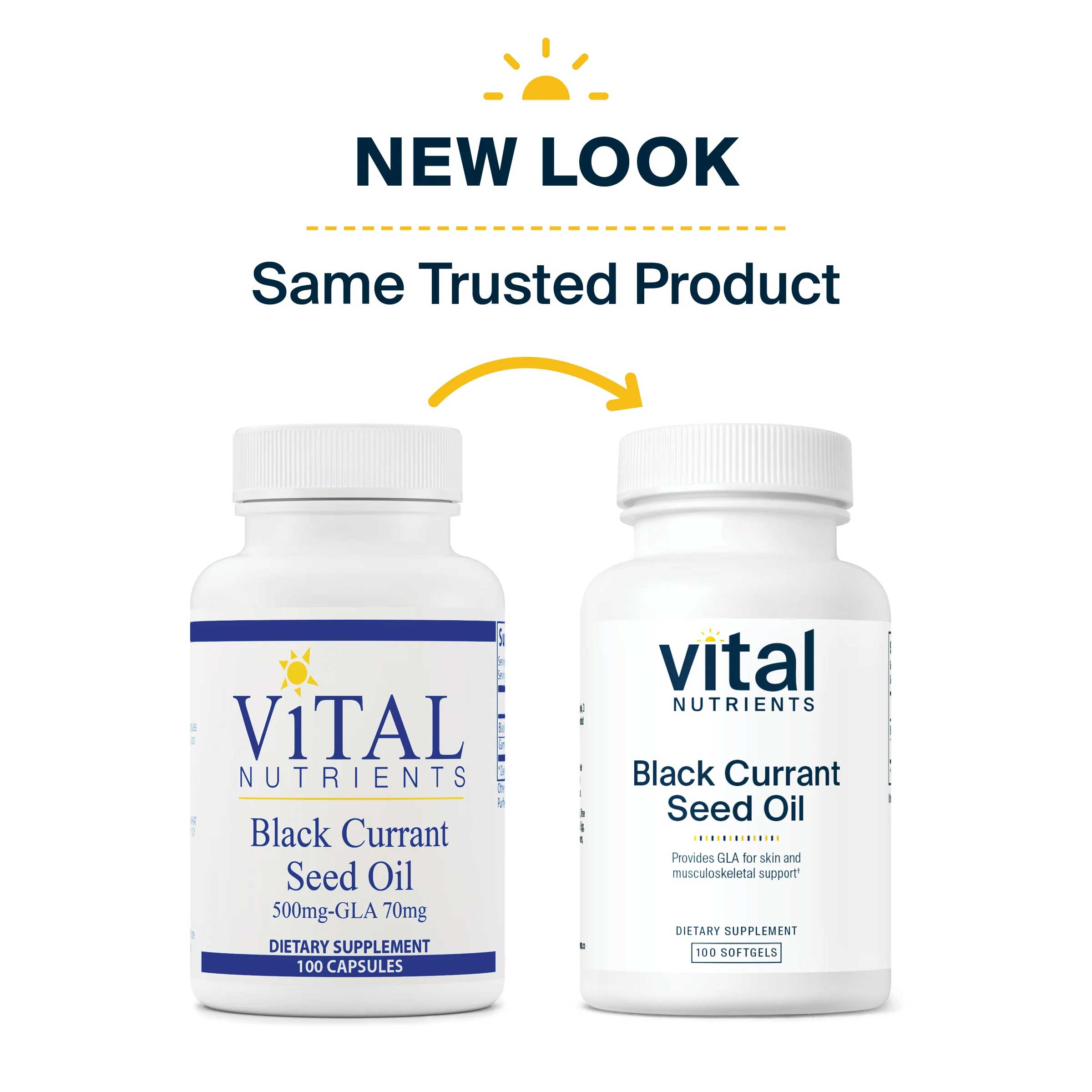 Vital Nutrients Black Currant Seed Oil New Look