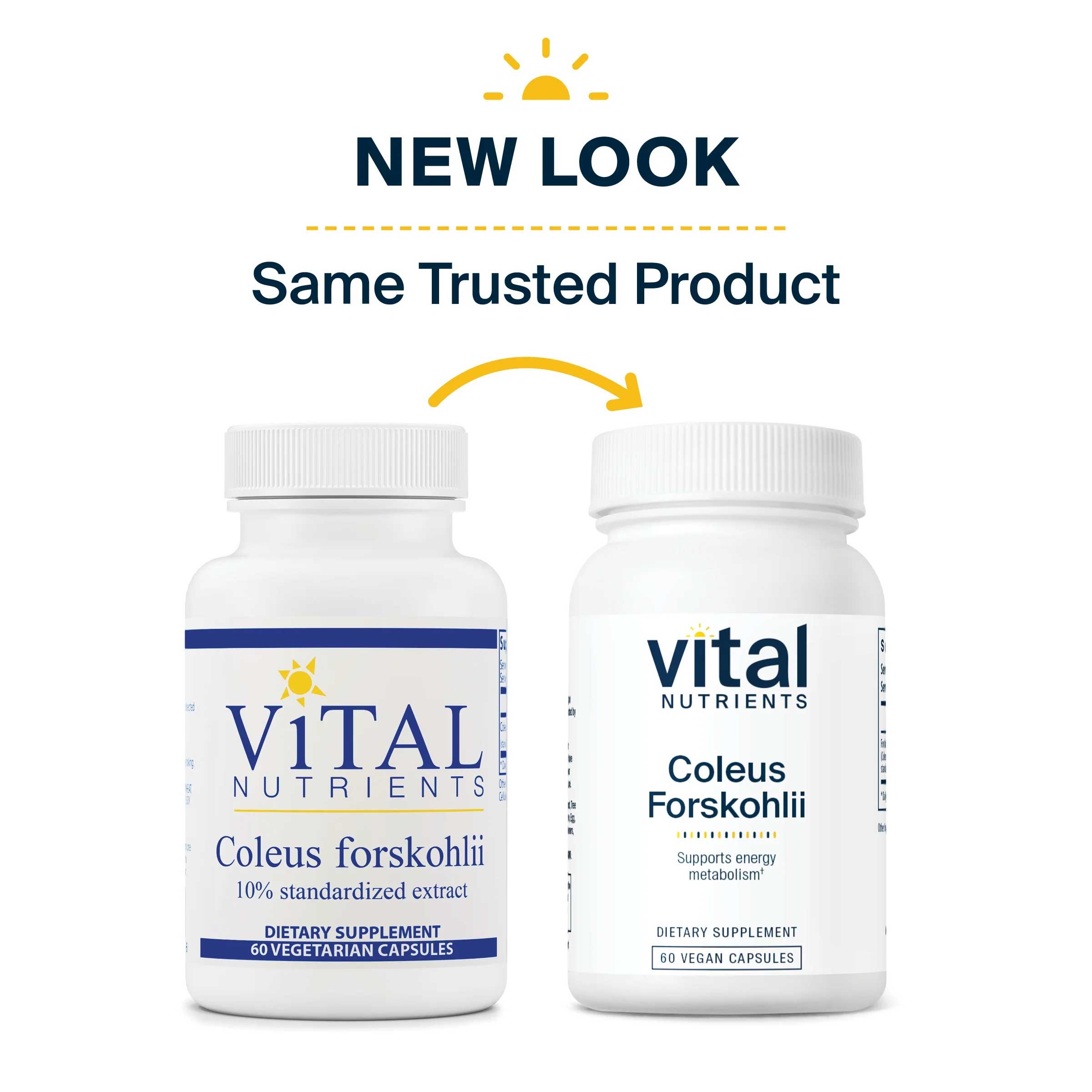 Vital Nutrients Coleus Forskohlii 10% New Look