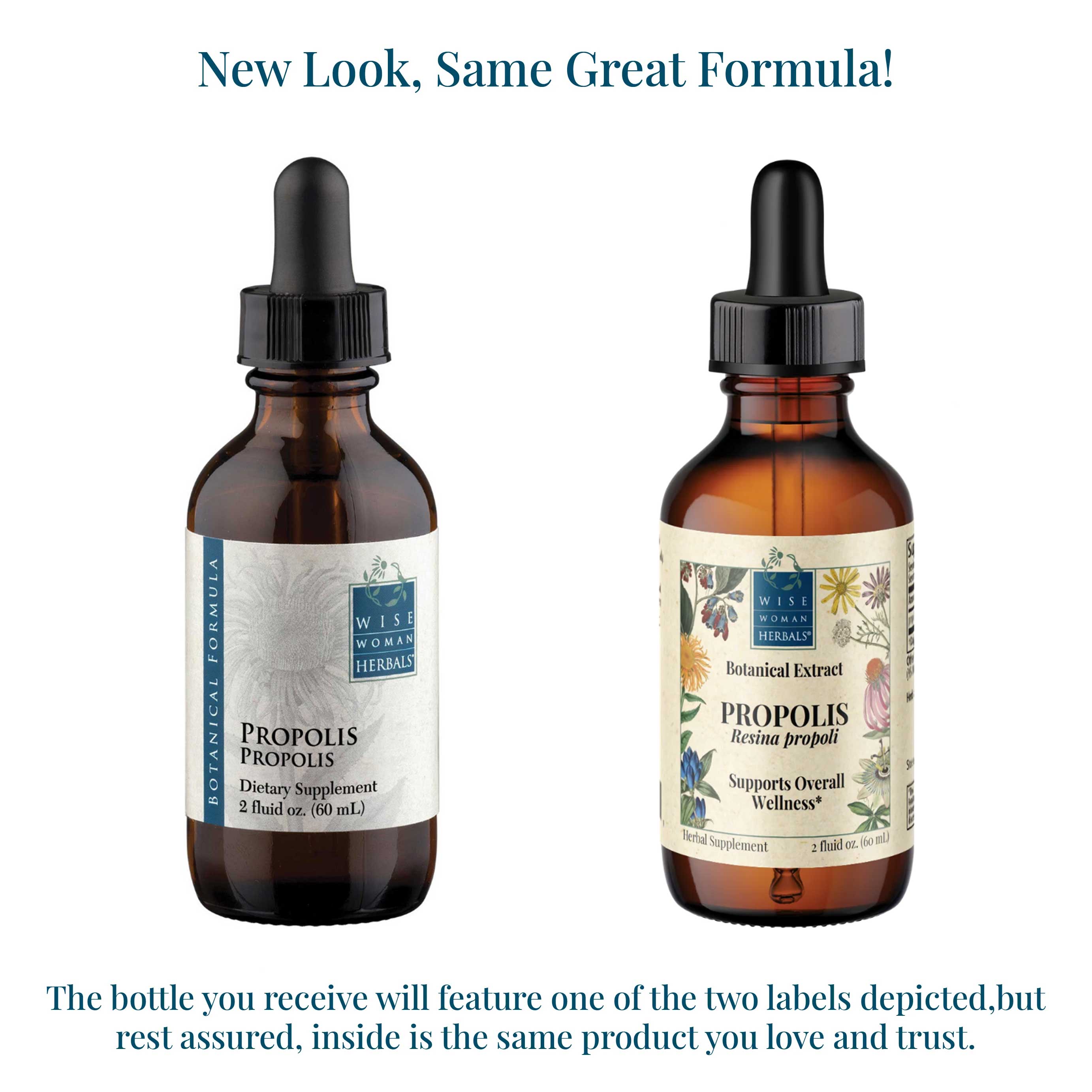 Wise Woman Herbals Chamomile (Matricaria recutita) New Look
