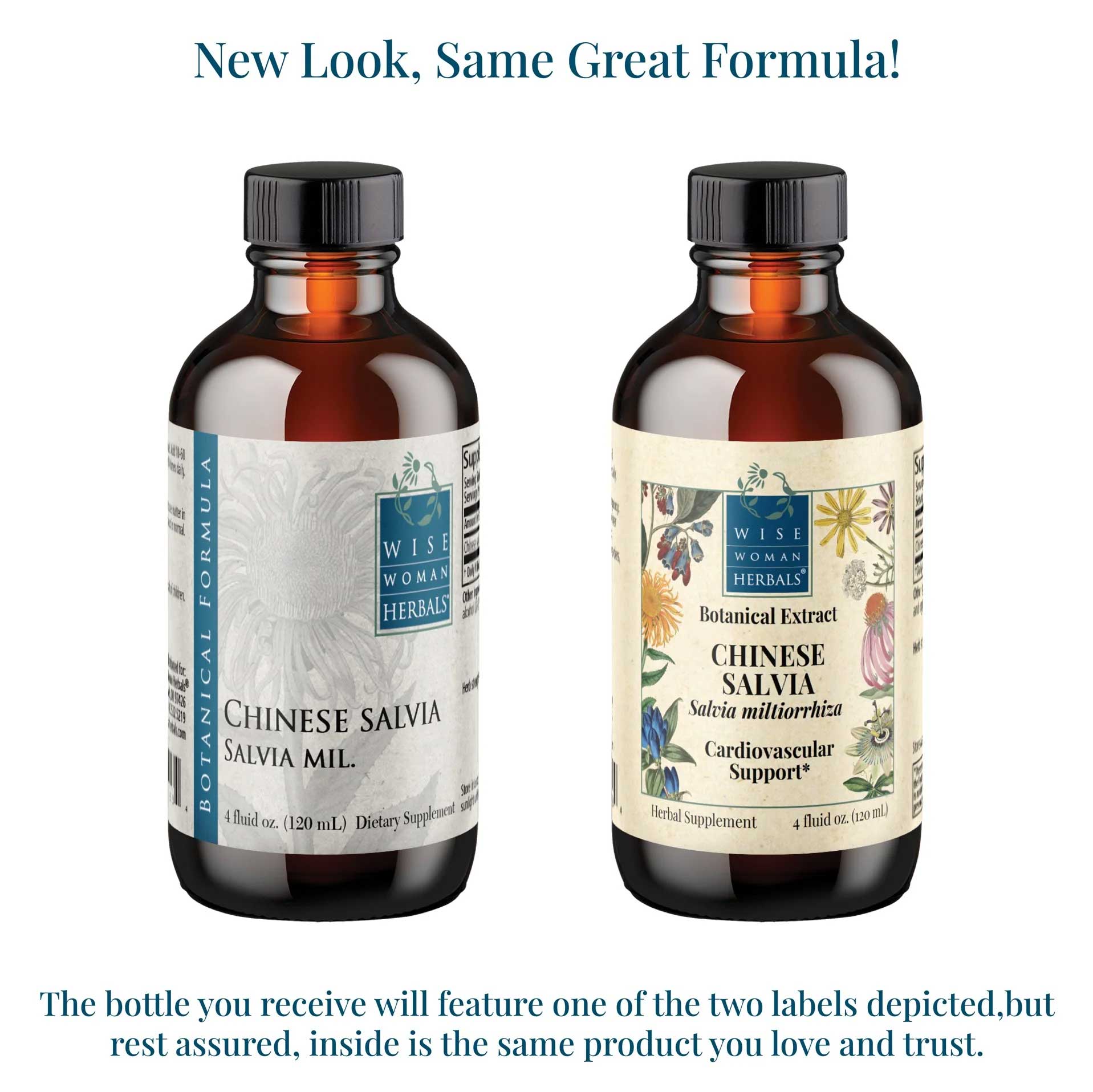Wise Woman Herbals Chinese Salvia (Formerly Salvia Miltiorrhiza Dan Shen/Red Sage) New Look